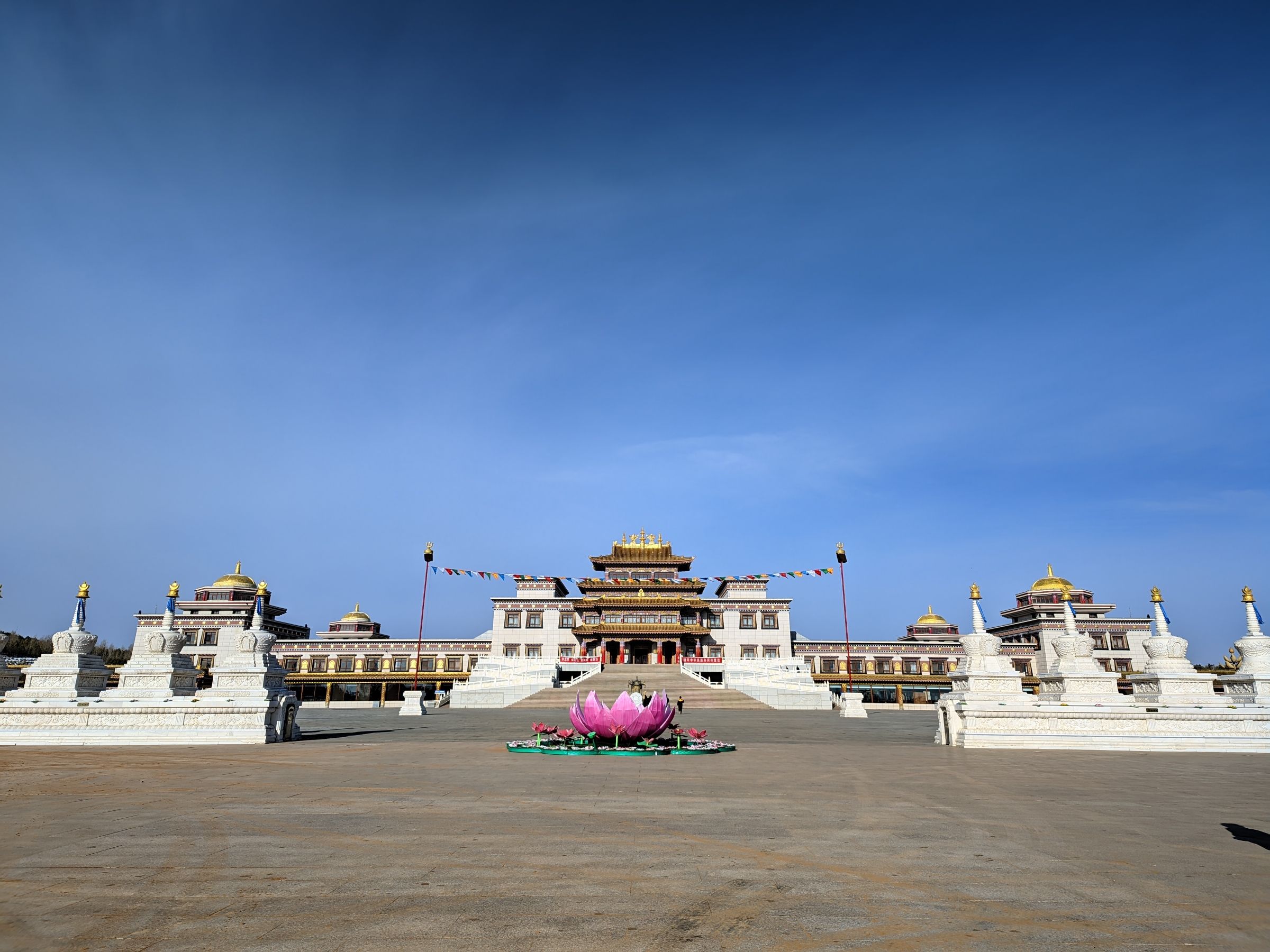颐和生态文化博览园旅行图片 2