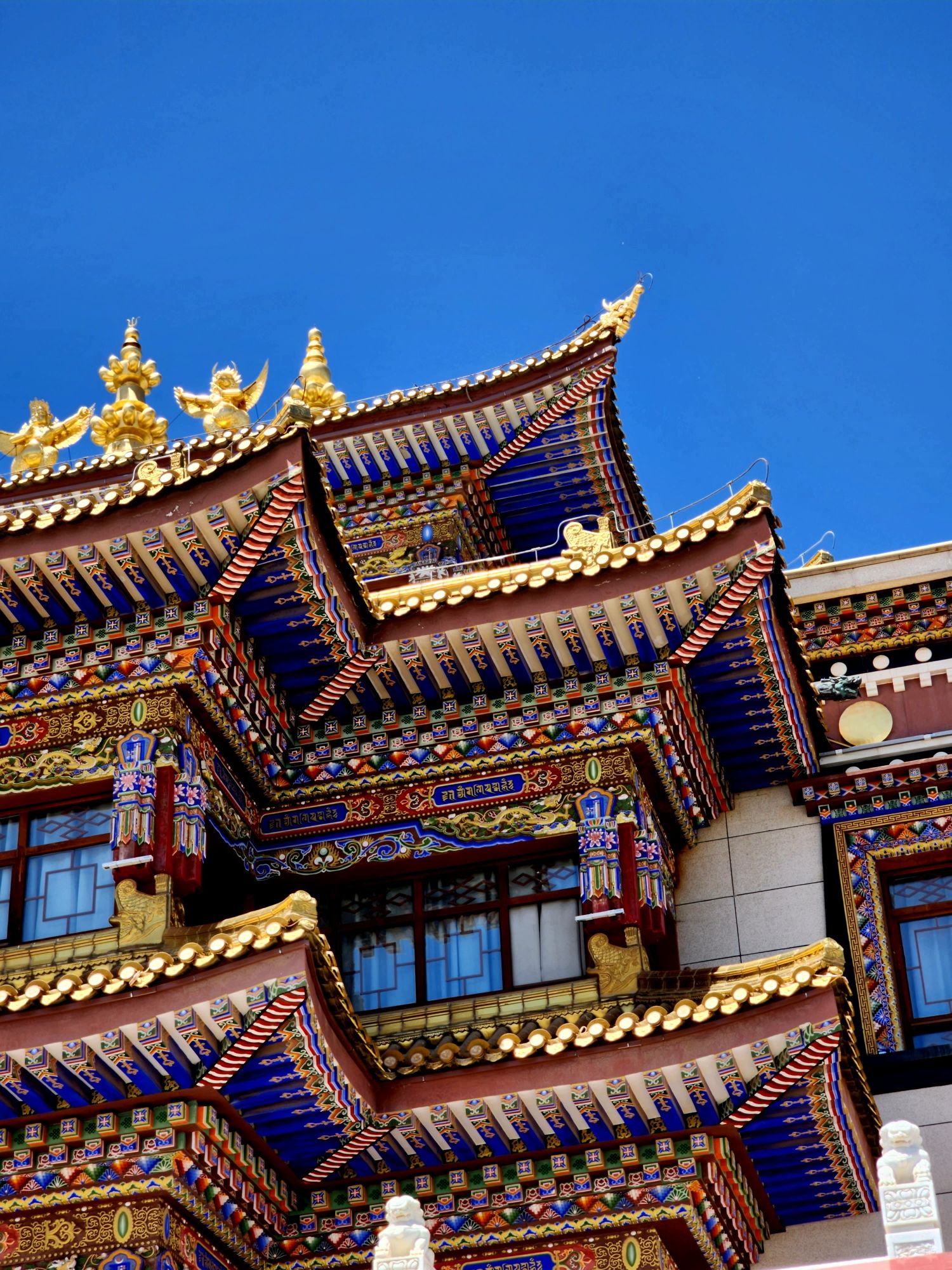 颐和生态文化博览园旅行图片 3