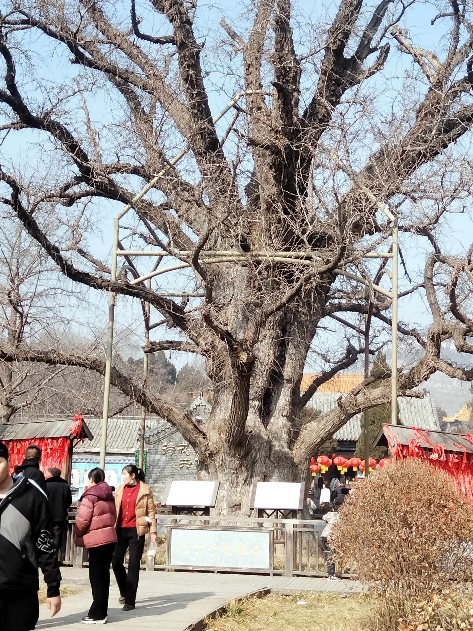 泗水仲庙旅行图片 3