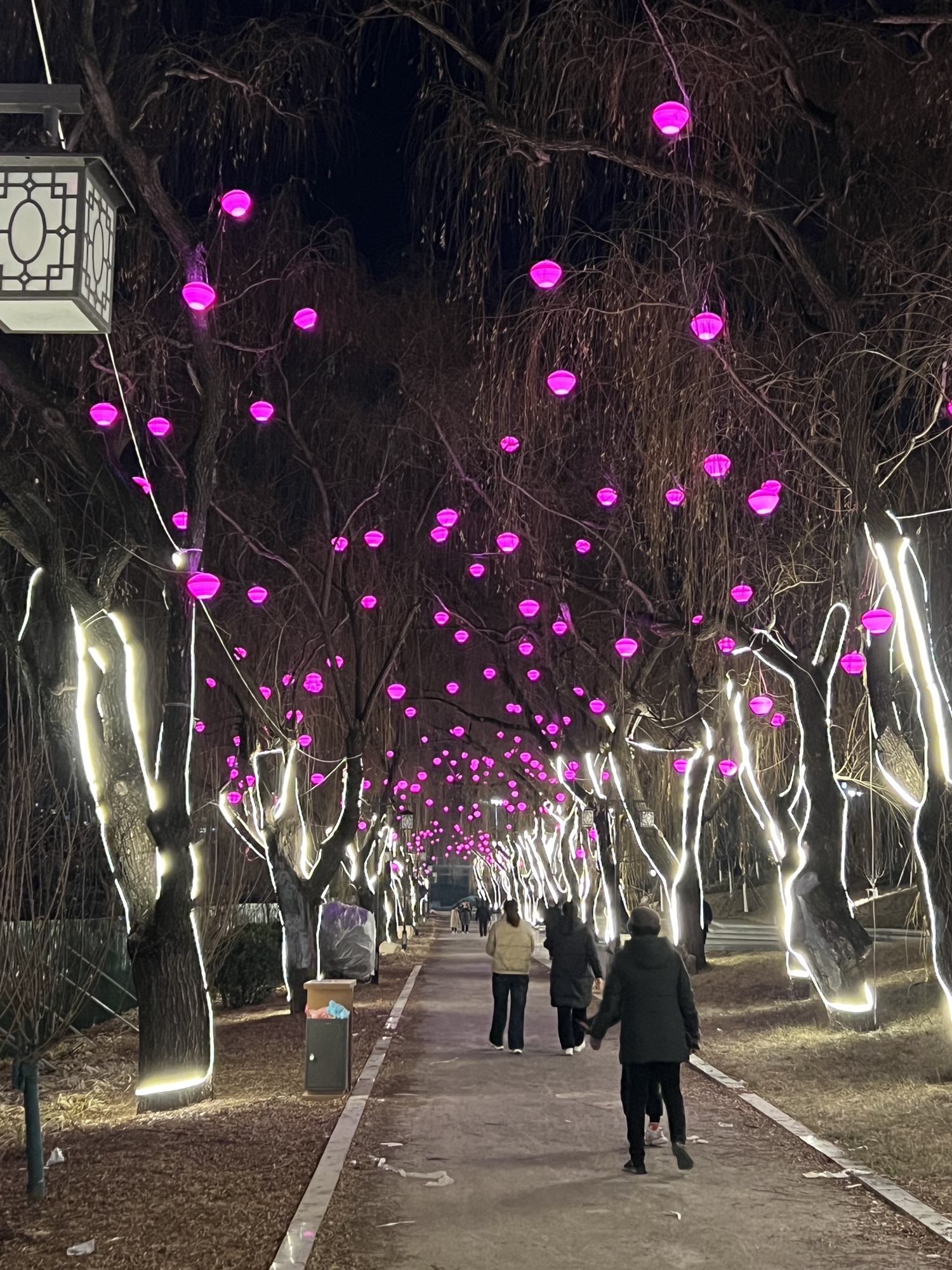 泗水仲庙旅行图片 3