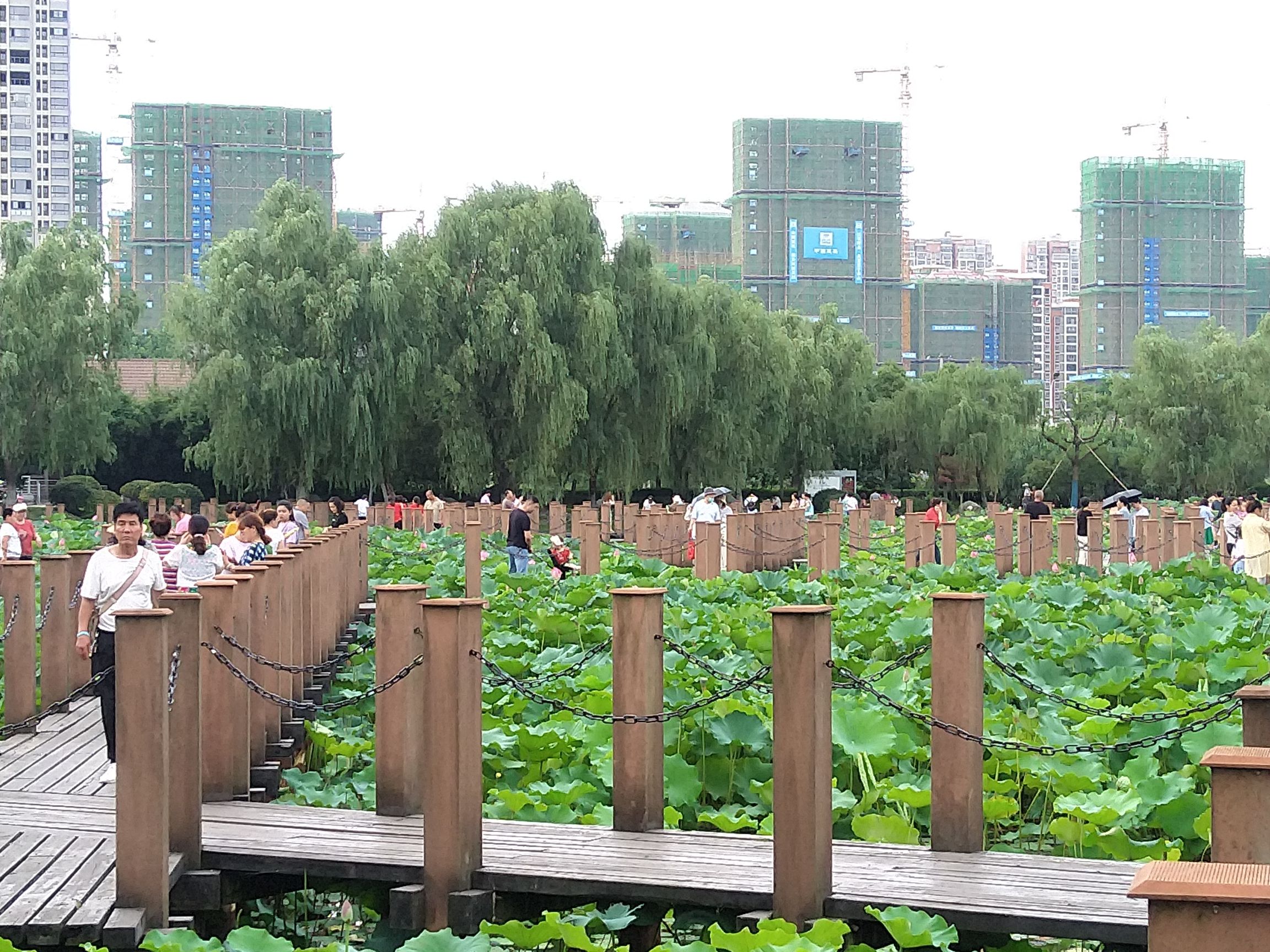 菱溪湖公园旅行图片 2