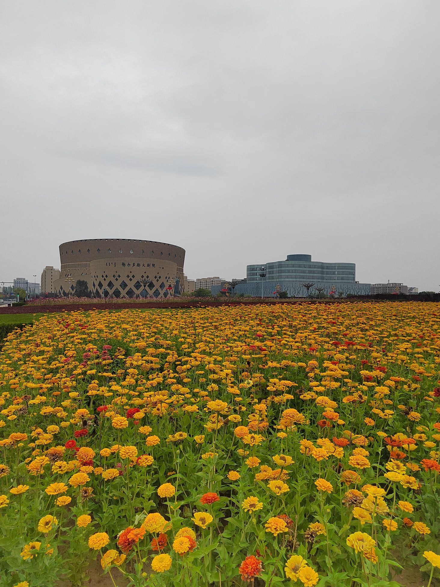 太阳广场旅行图片 1