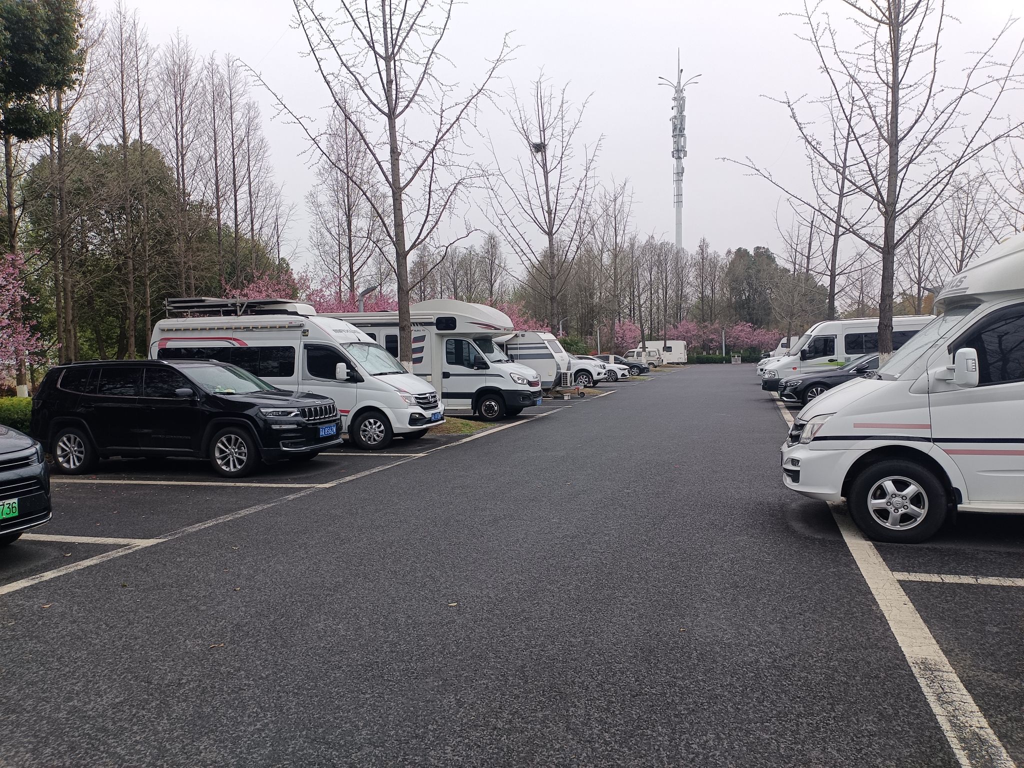 浦口滨江风光带旅行图片 2