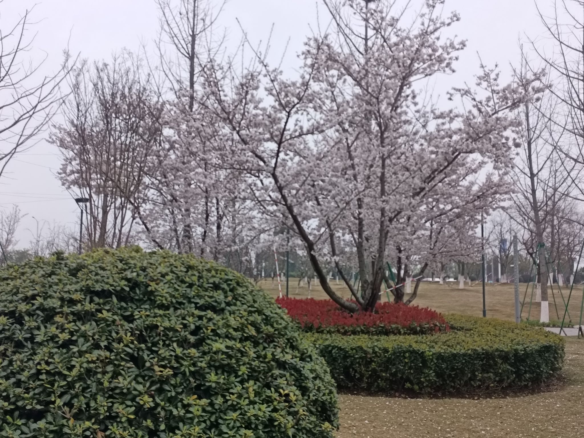 浦口滨江风光带旅行图片 2