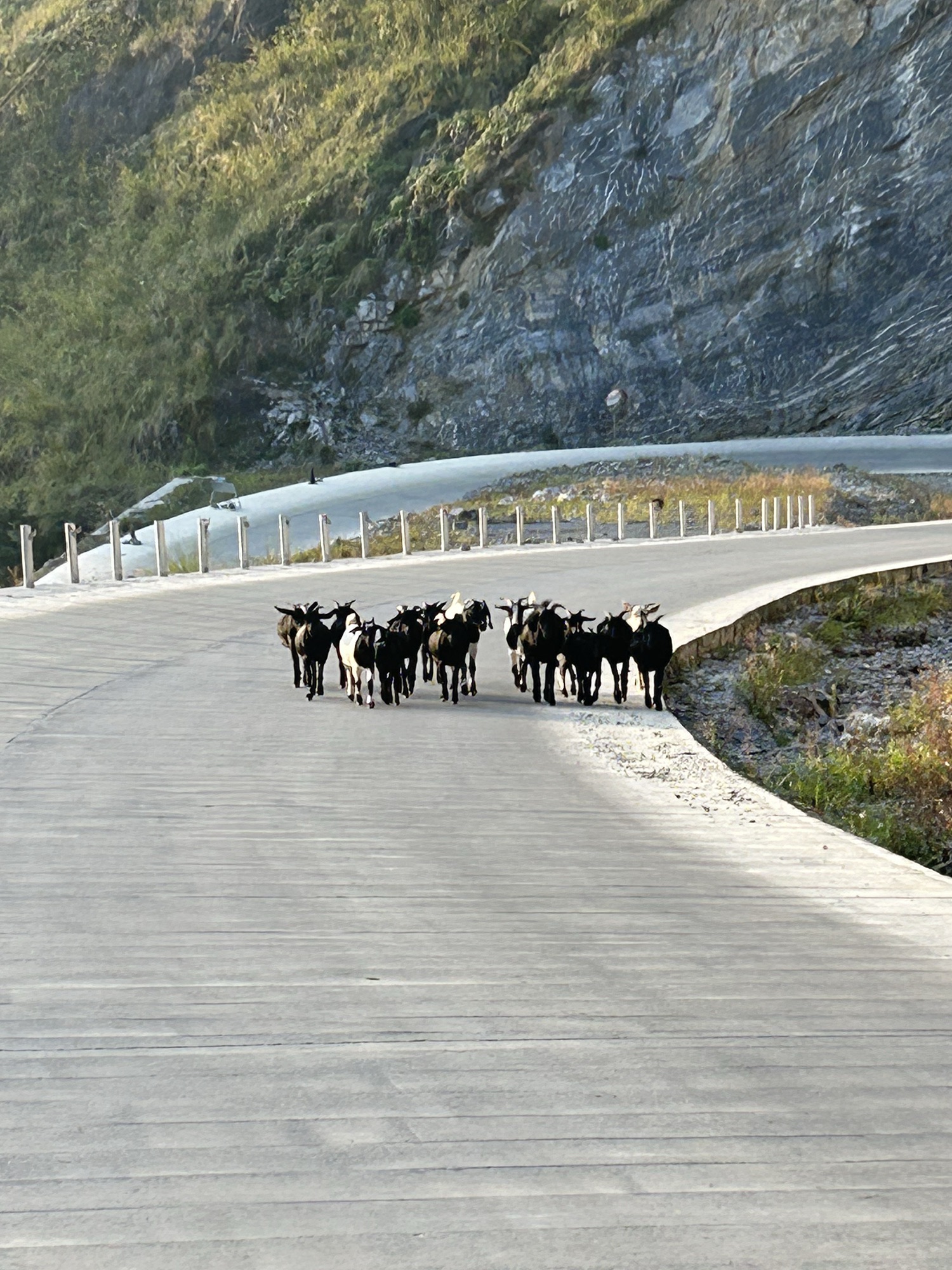 七百弄国家地质公园旅行图片 2