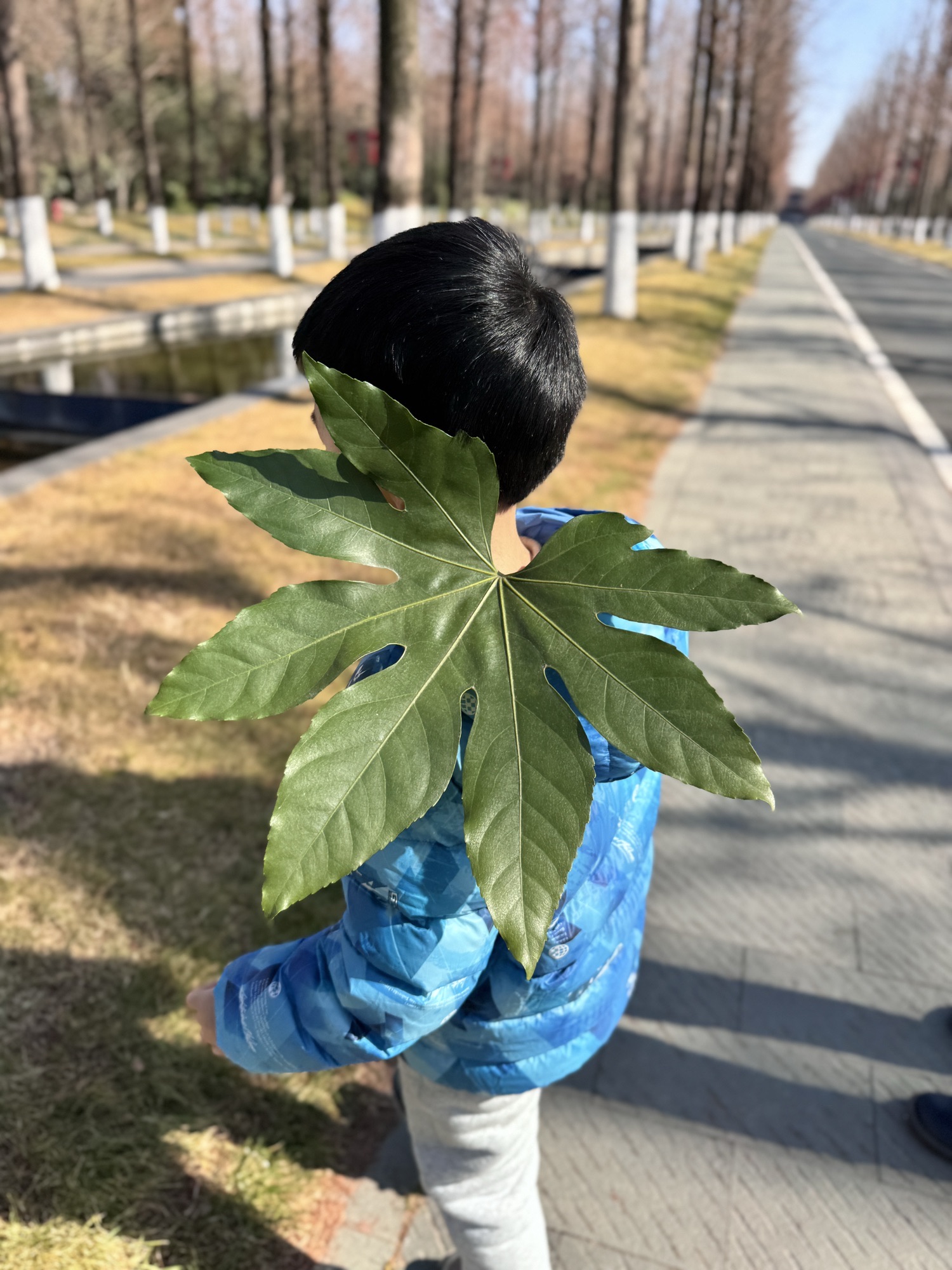 上秦淮生态湿地公园旅行图片 1