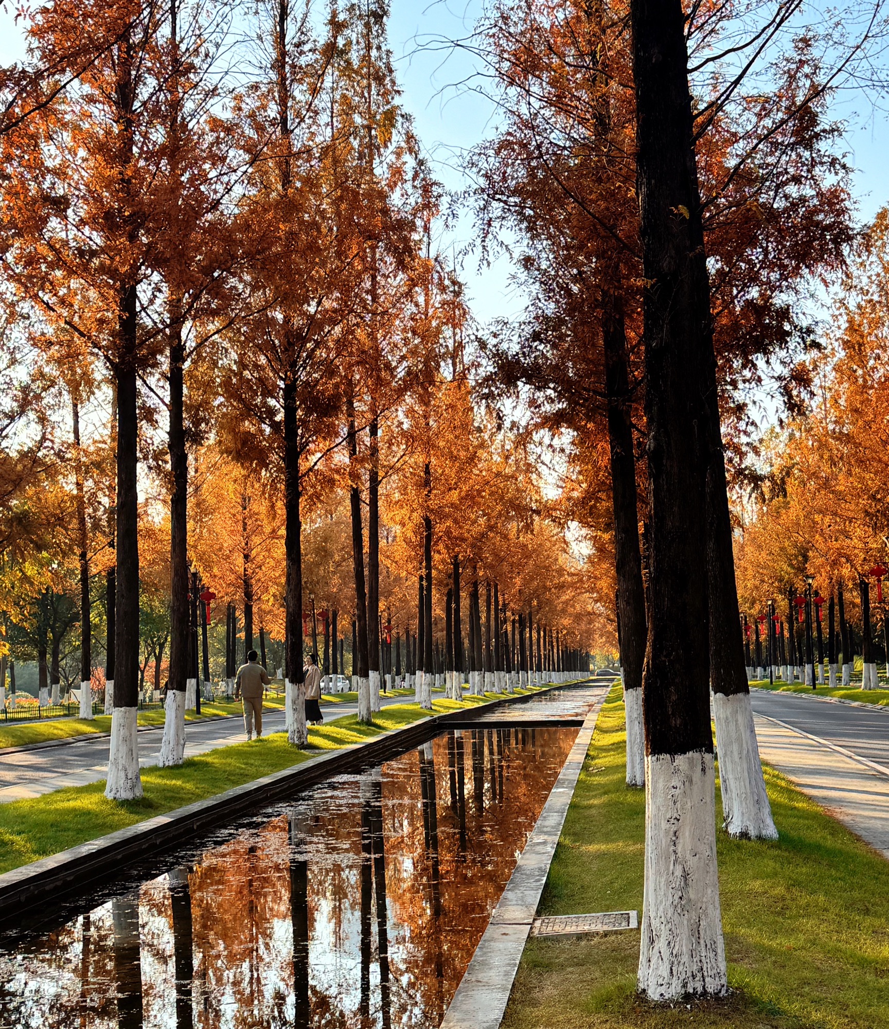 上秦淮生态湿地公园旅行图片 1