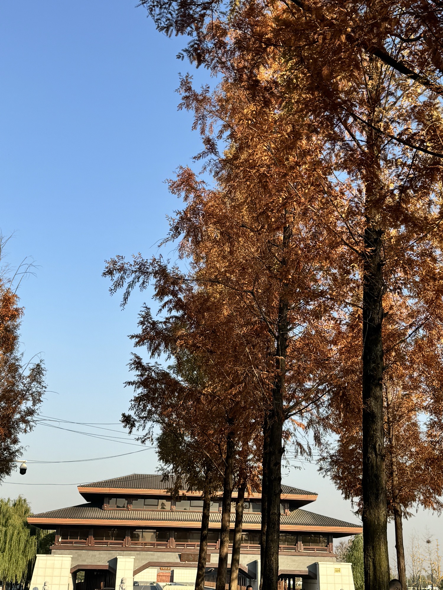 上秦淮生态湿地公园旅行图片 2