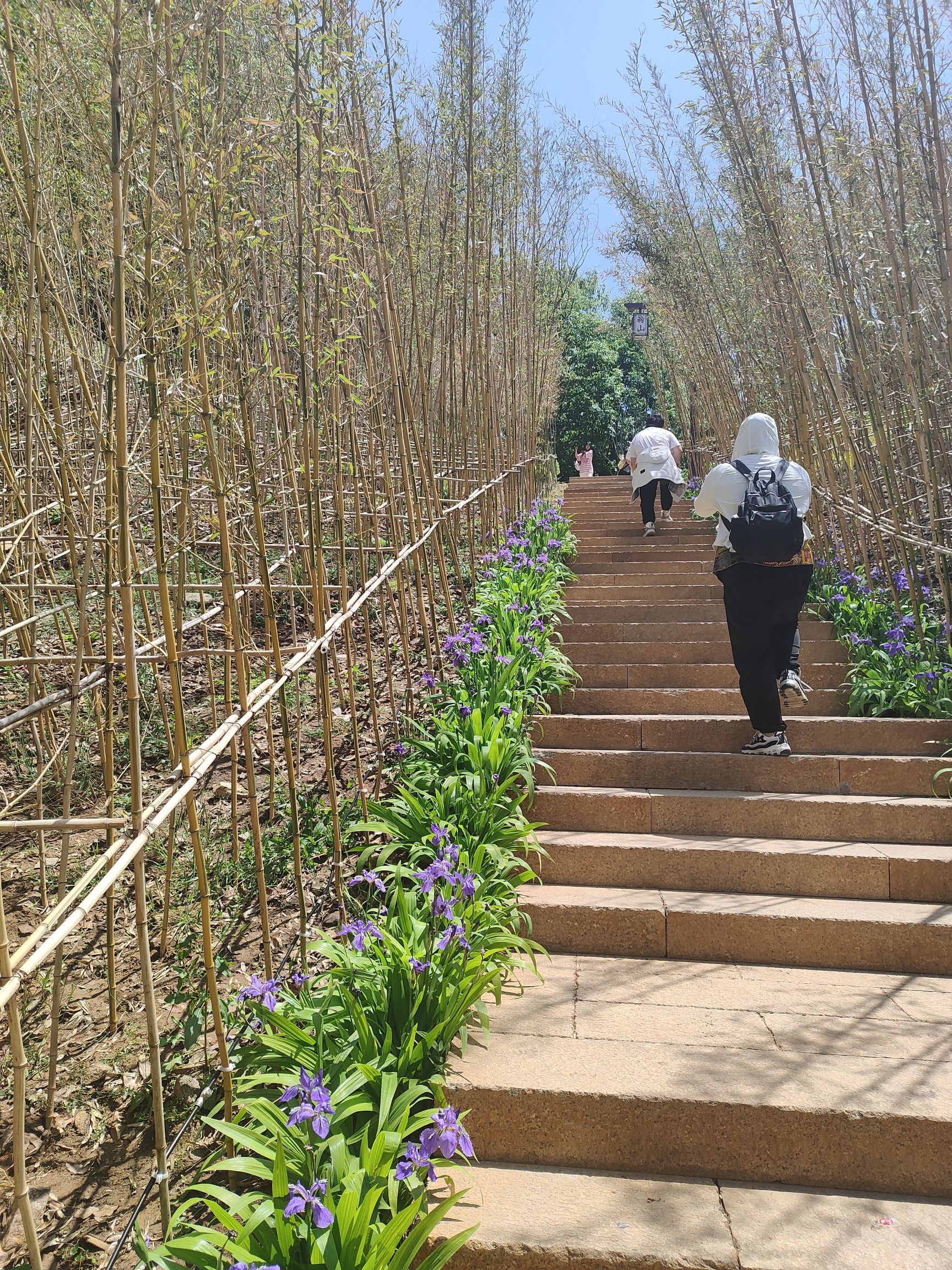 羽山景区旅行图片 3