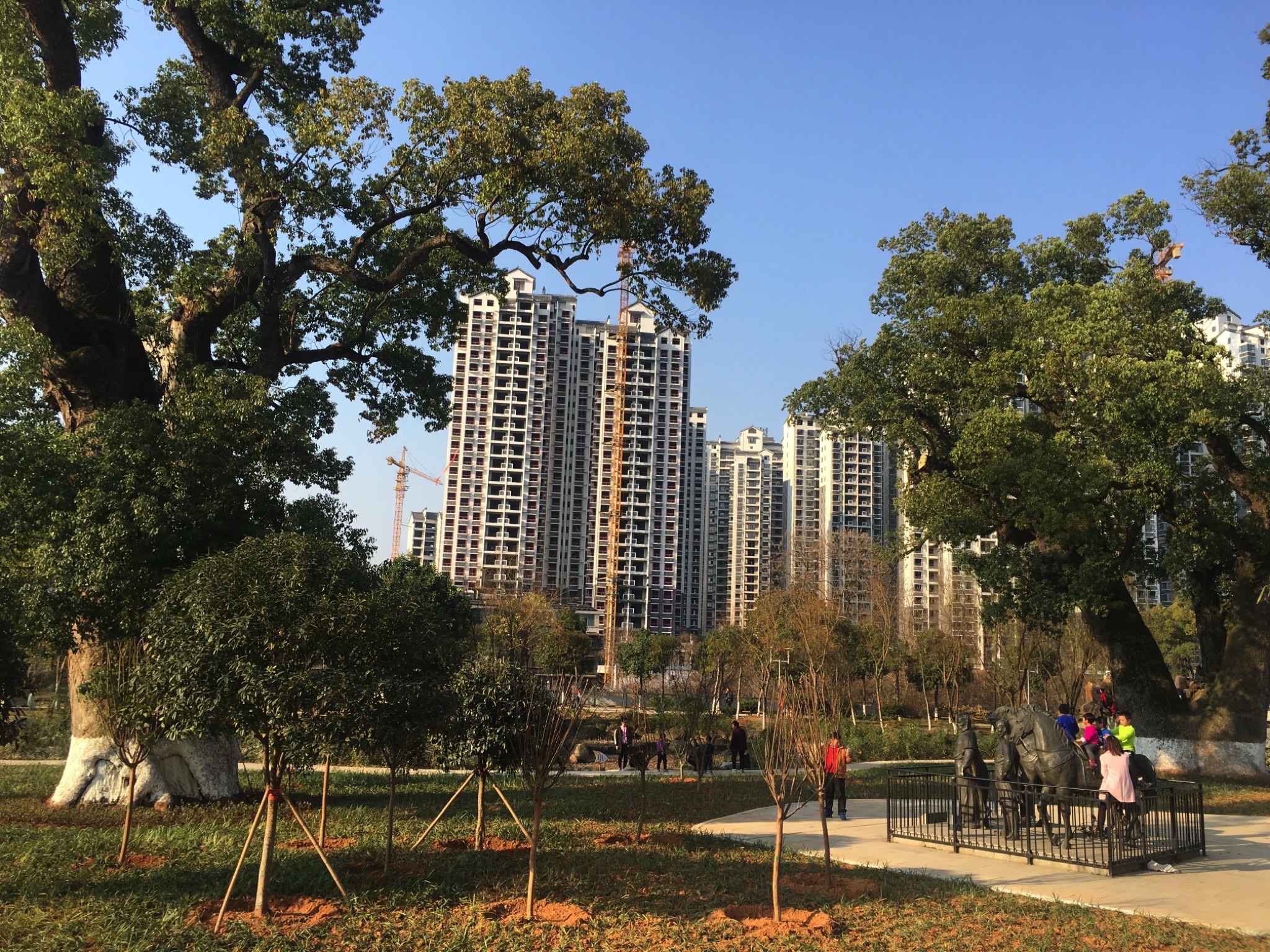 营盘山公园旅行图片 1