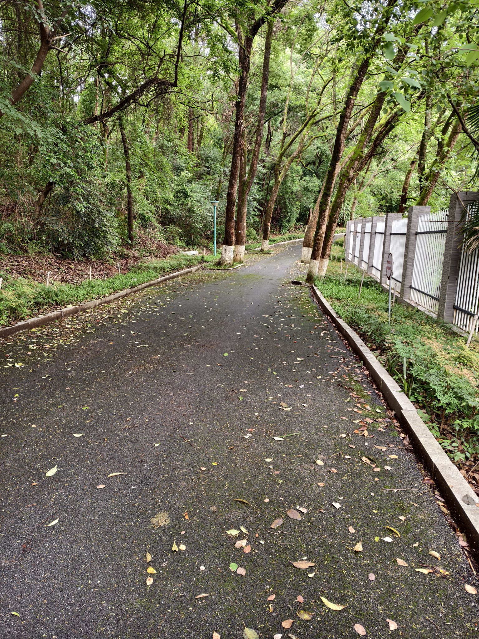 营盘山公园旅行图片 3