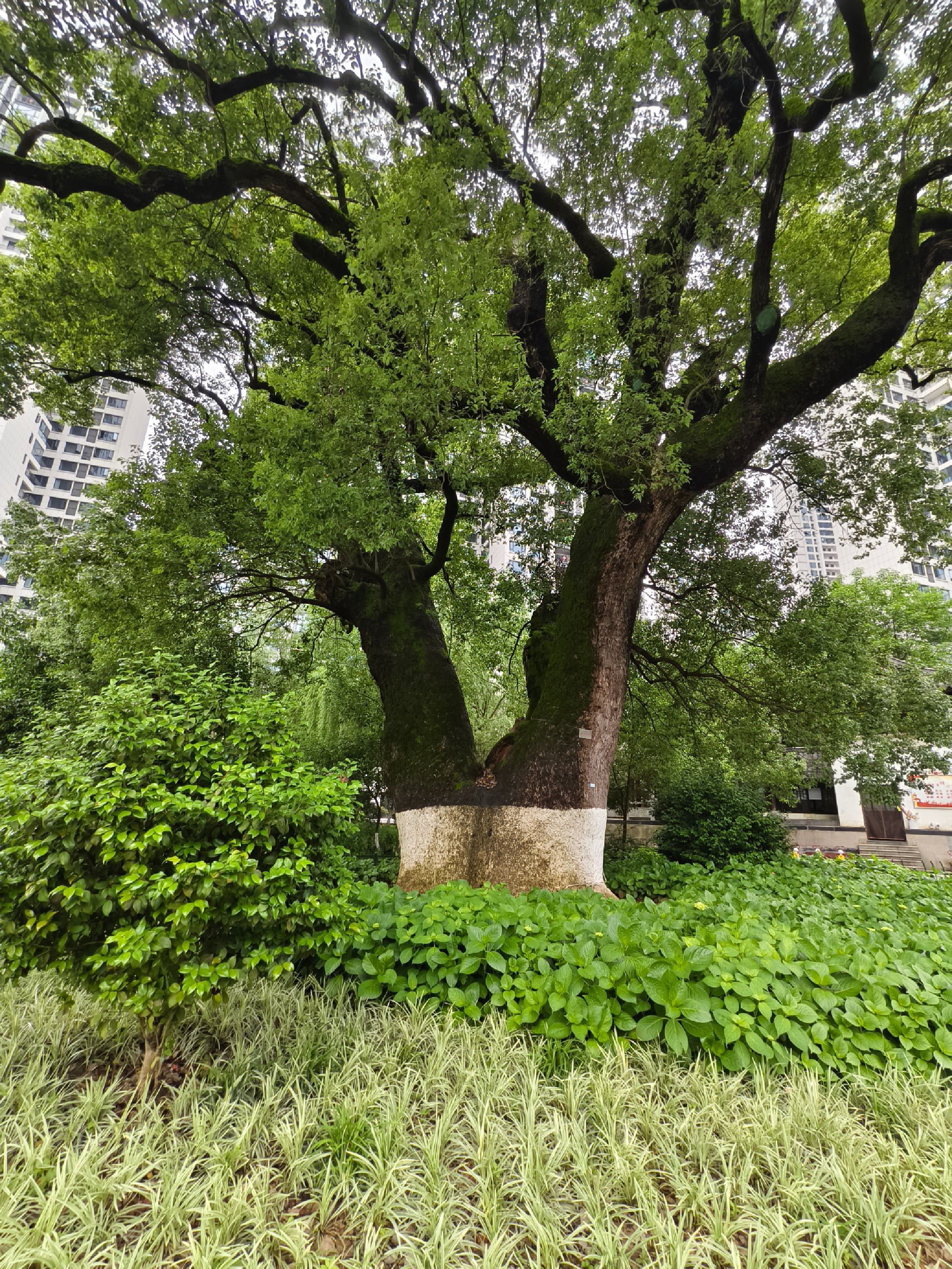营盘山公园旅行图片 1