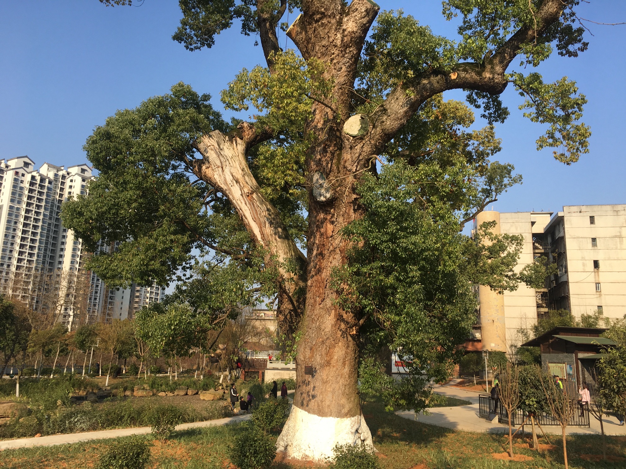 营盘山公园旅行图片 3