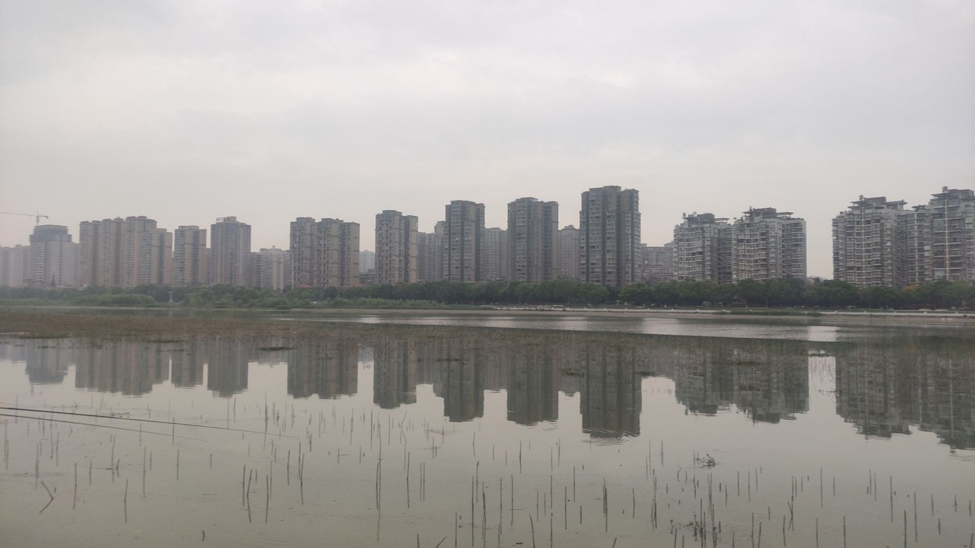德阳市北公园旅行图片 2