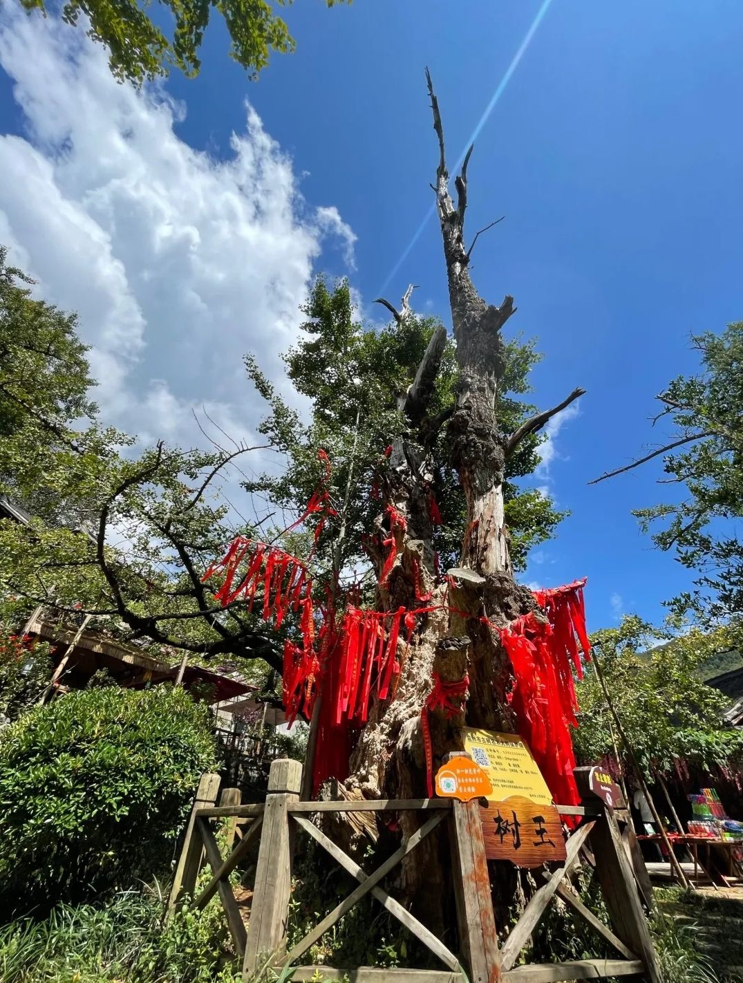 c旅行图片 2