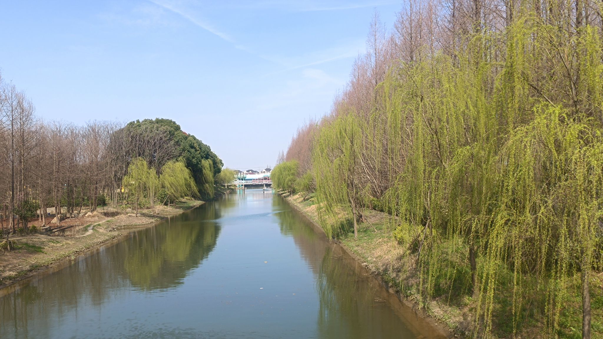 罗泾水源涵养林旅行图片 2