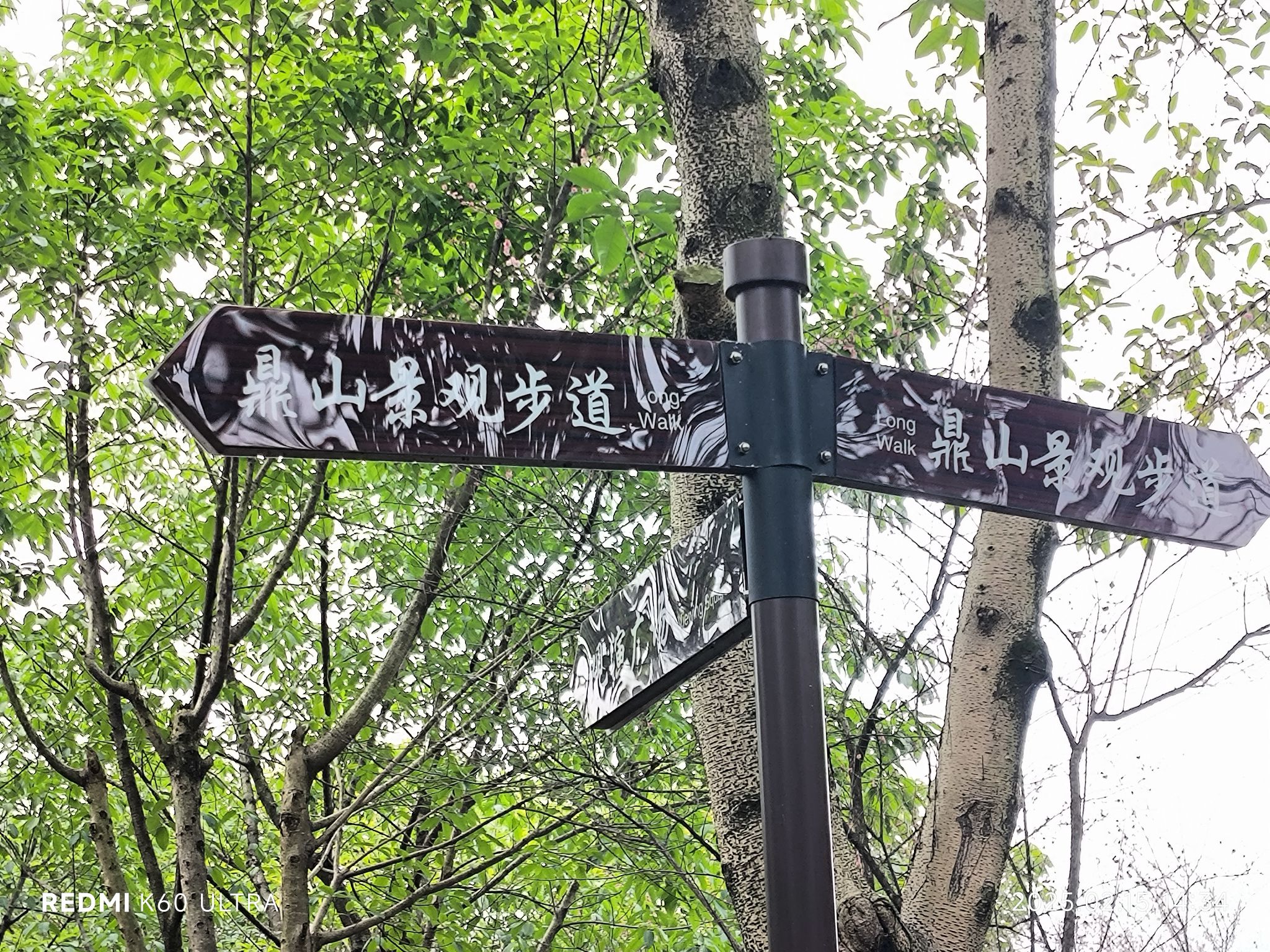 鼎山公园旅行图片 3