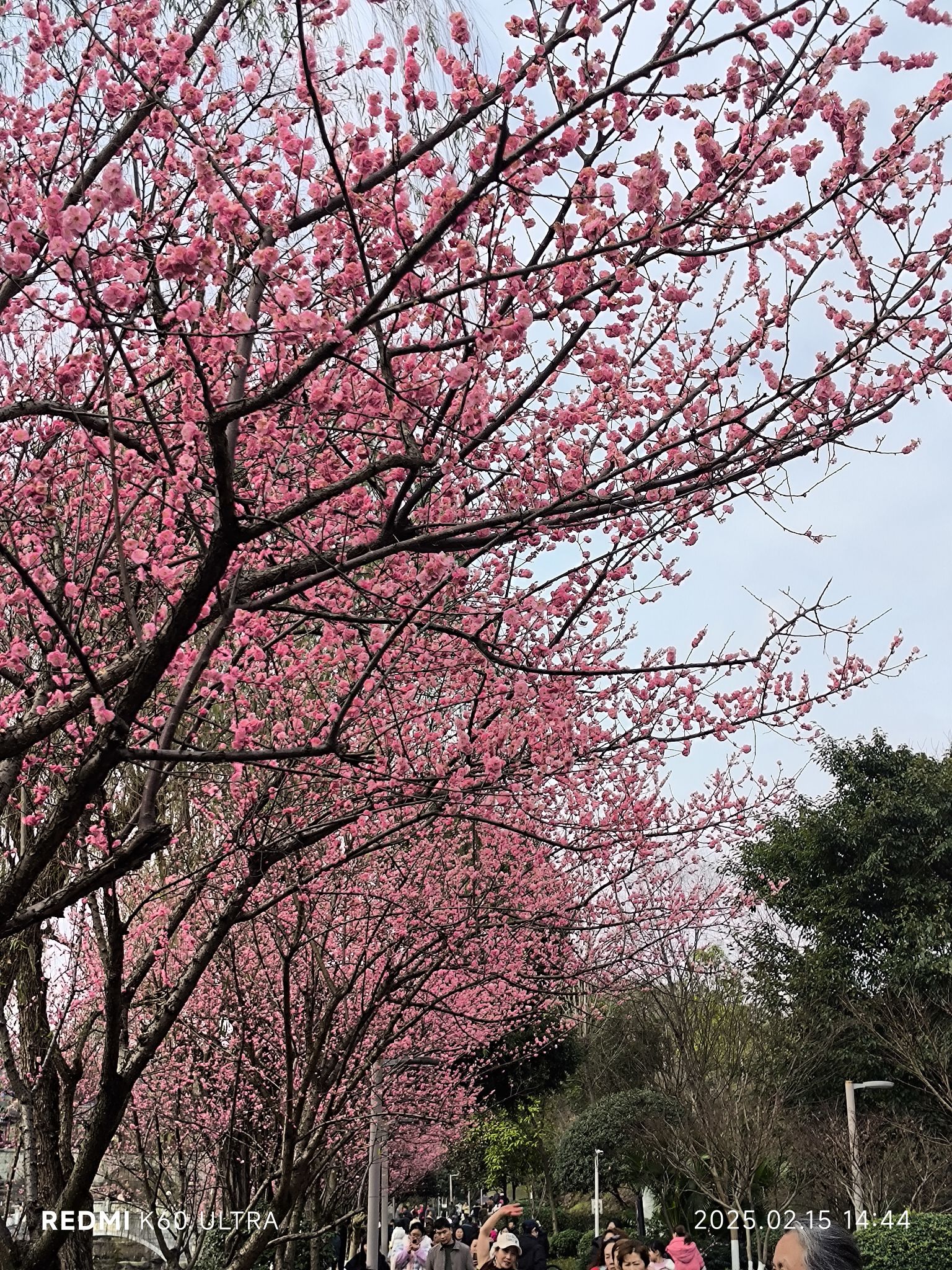 鼎山公园旅行图片 2