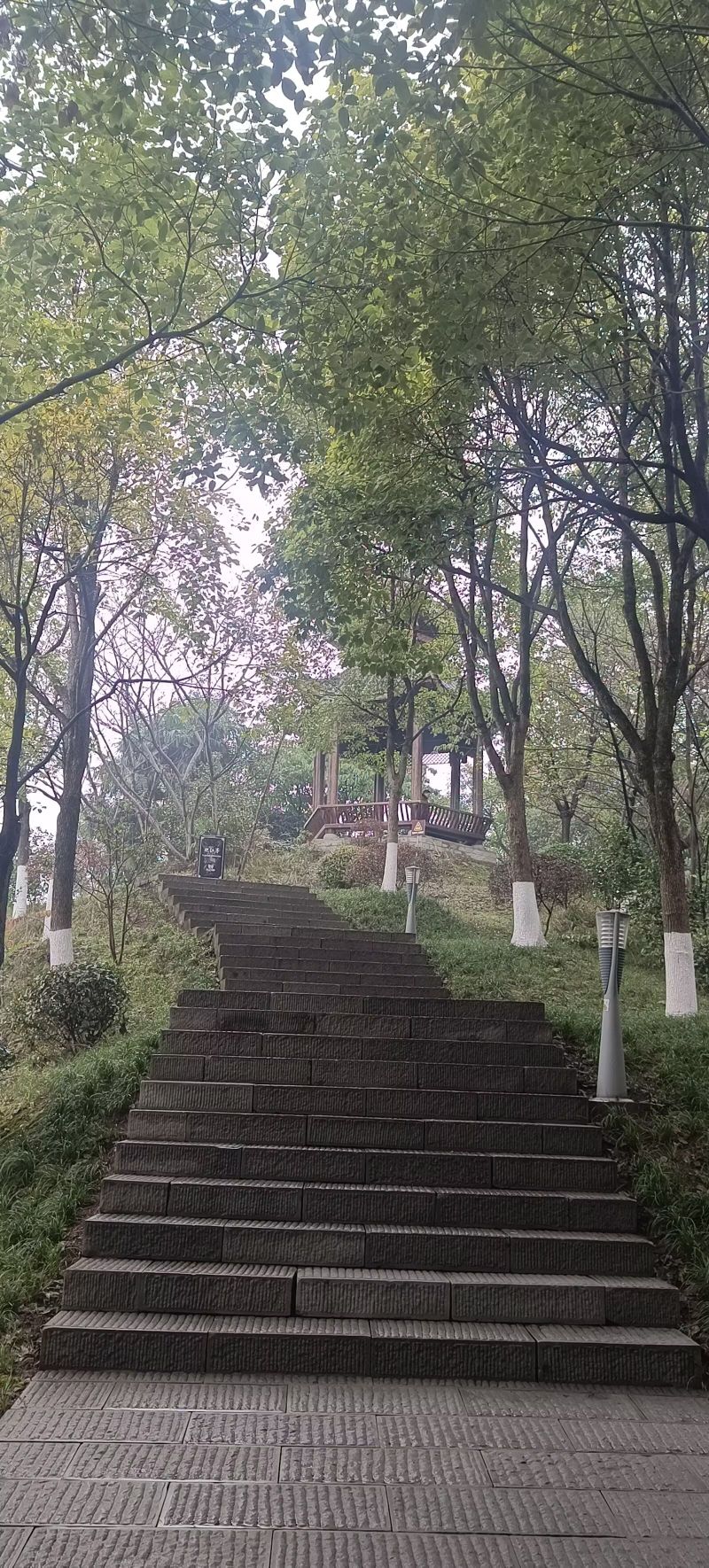 鼎山公园旅行图片 3