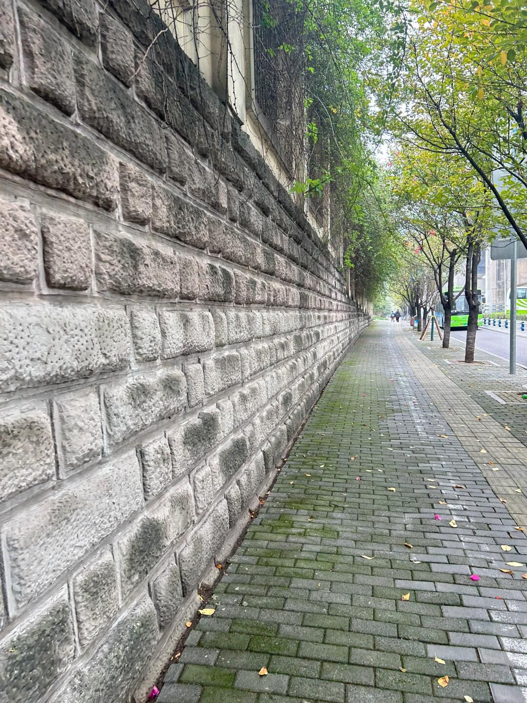 鼎山公园旅行图片 2