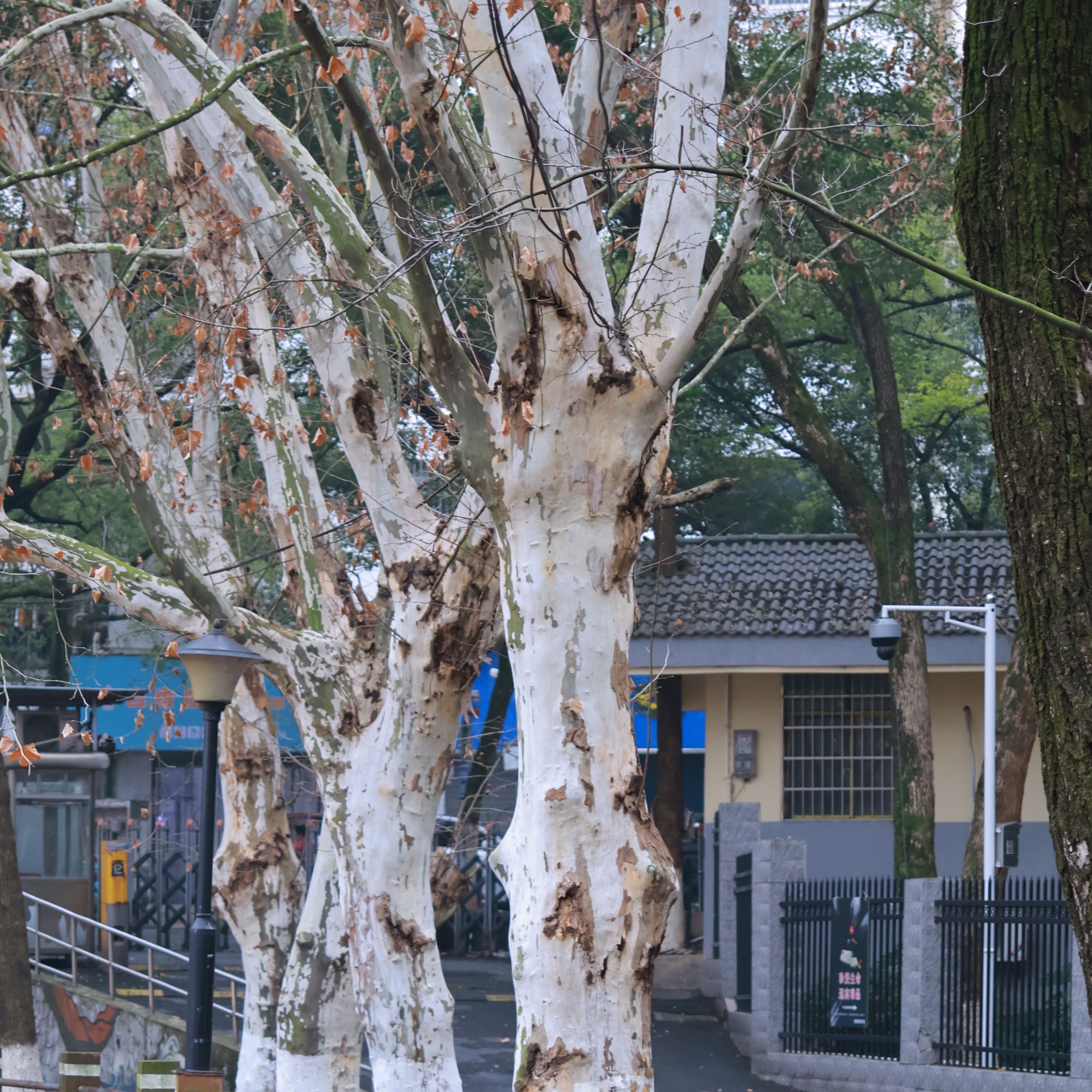 宜春学院北校区
