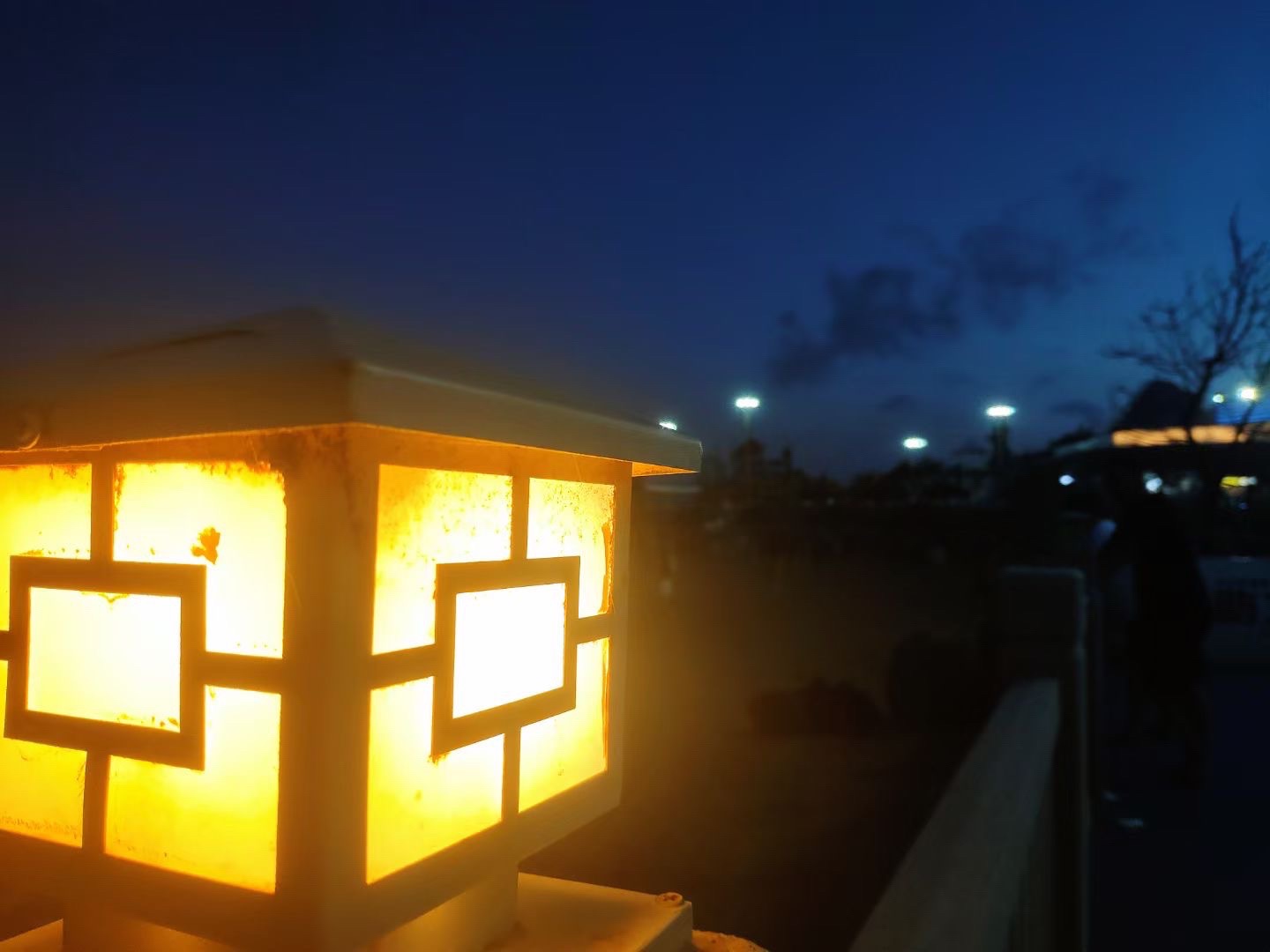 中海度假村旅行图片 2