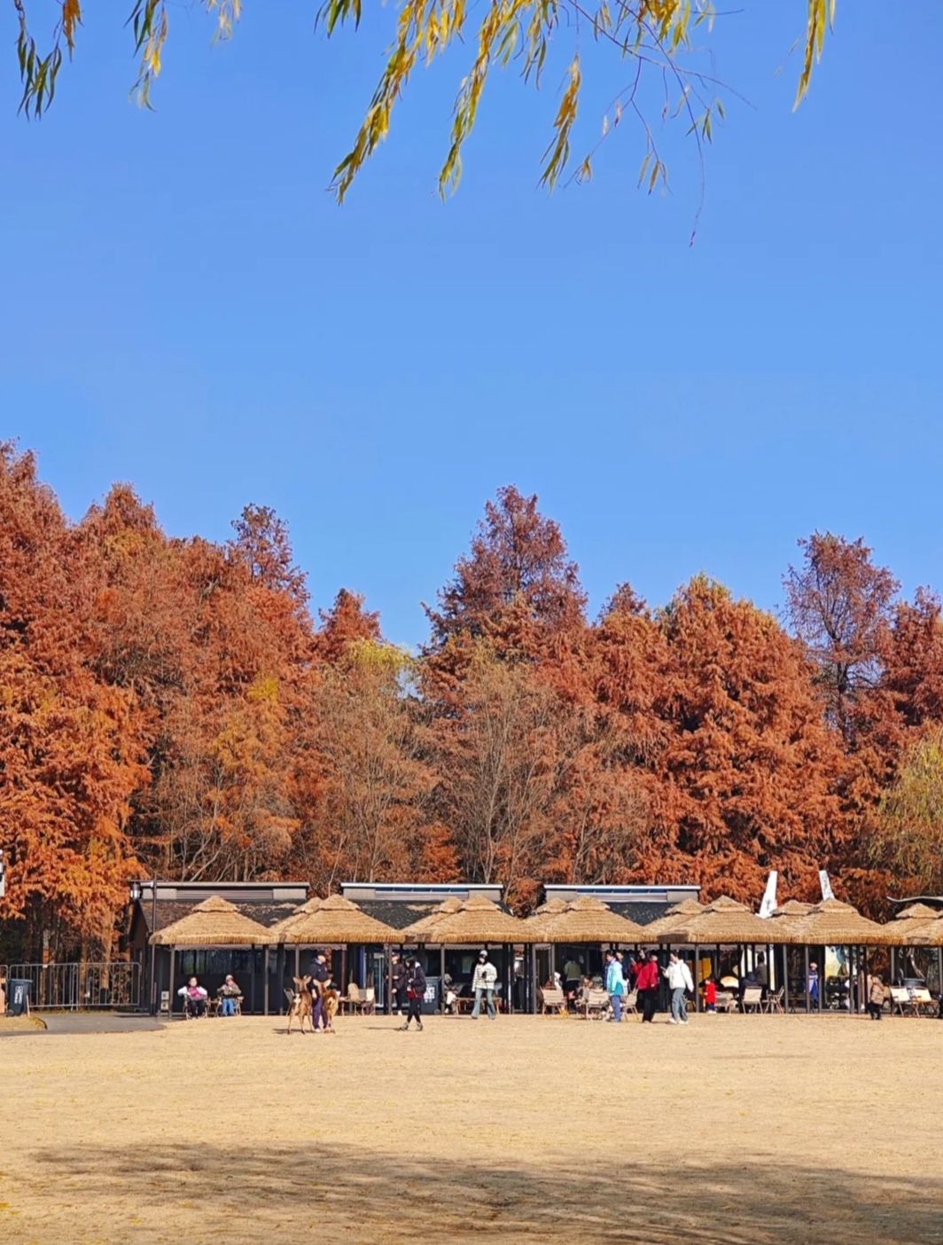 青山湖风景区旅行图片 1