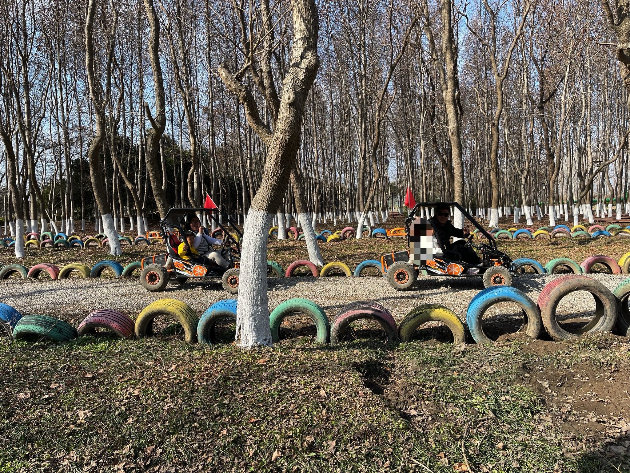 扬子郊野公园旅行图片 2