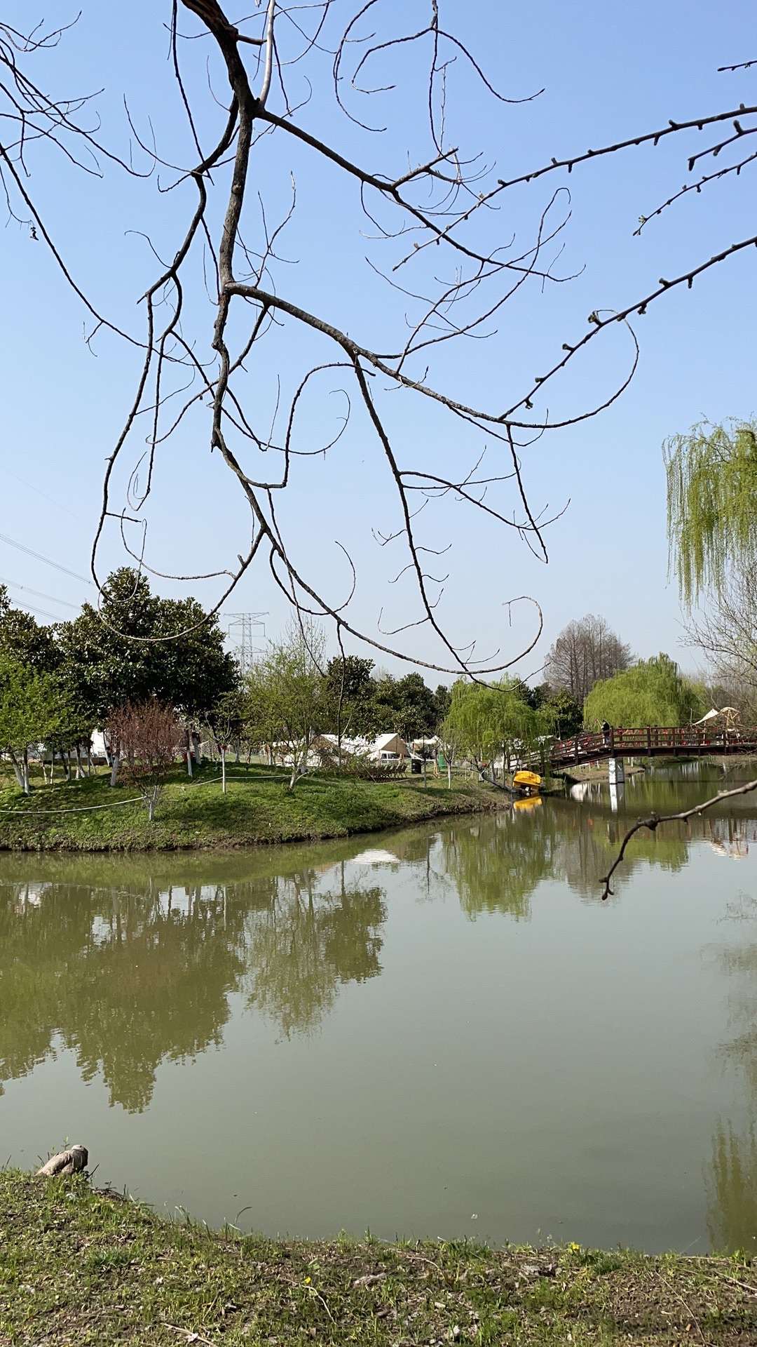 扬子郊野公园