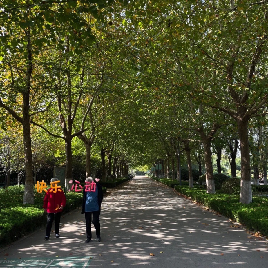 济南花圃公园旅行图片 1