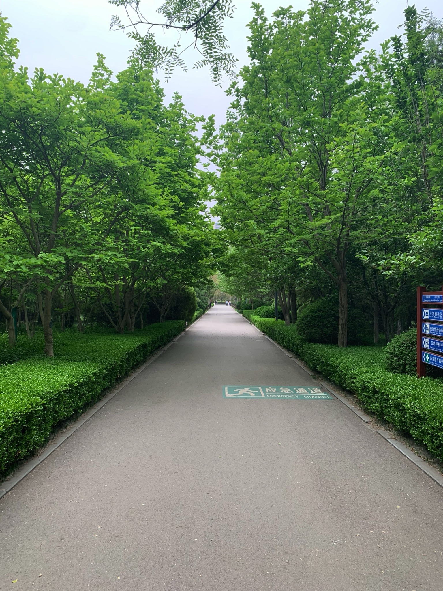 济南花圃公园旅行图片 1