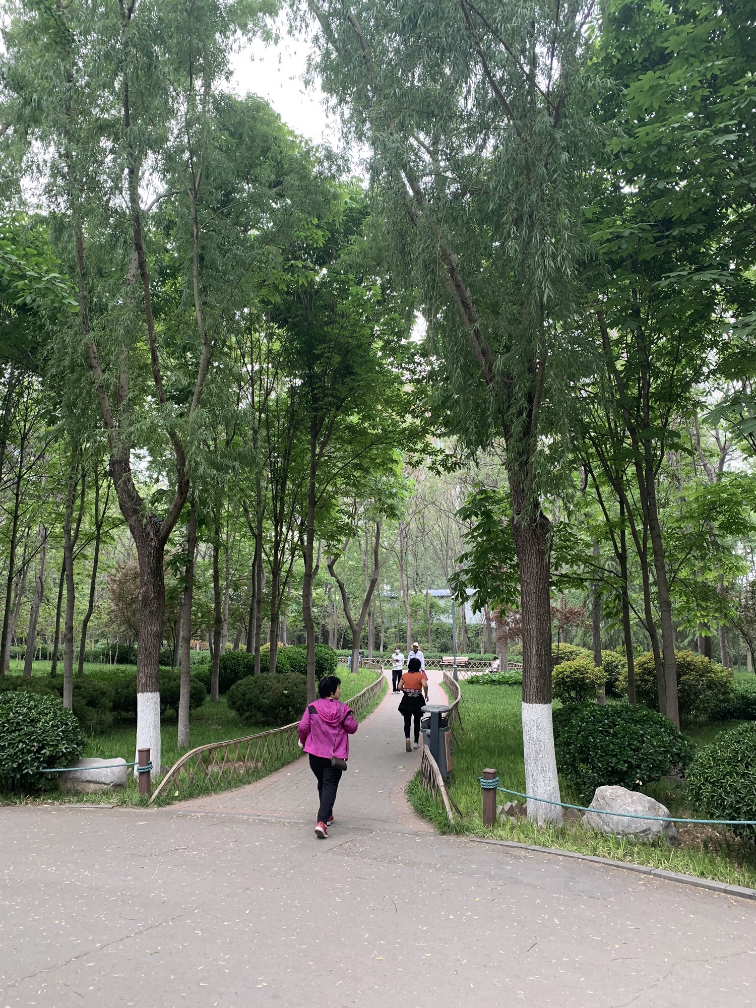 济南花圃公园旅行图片 2