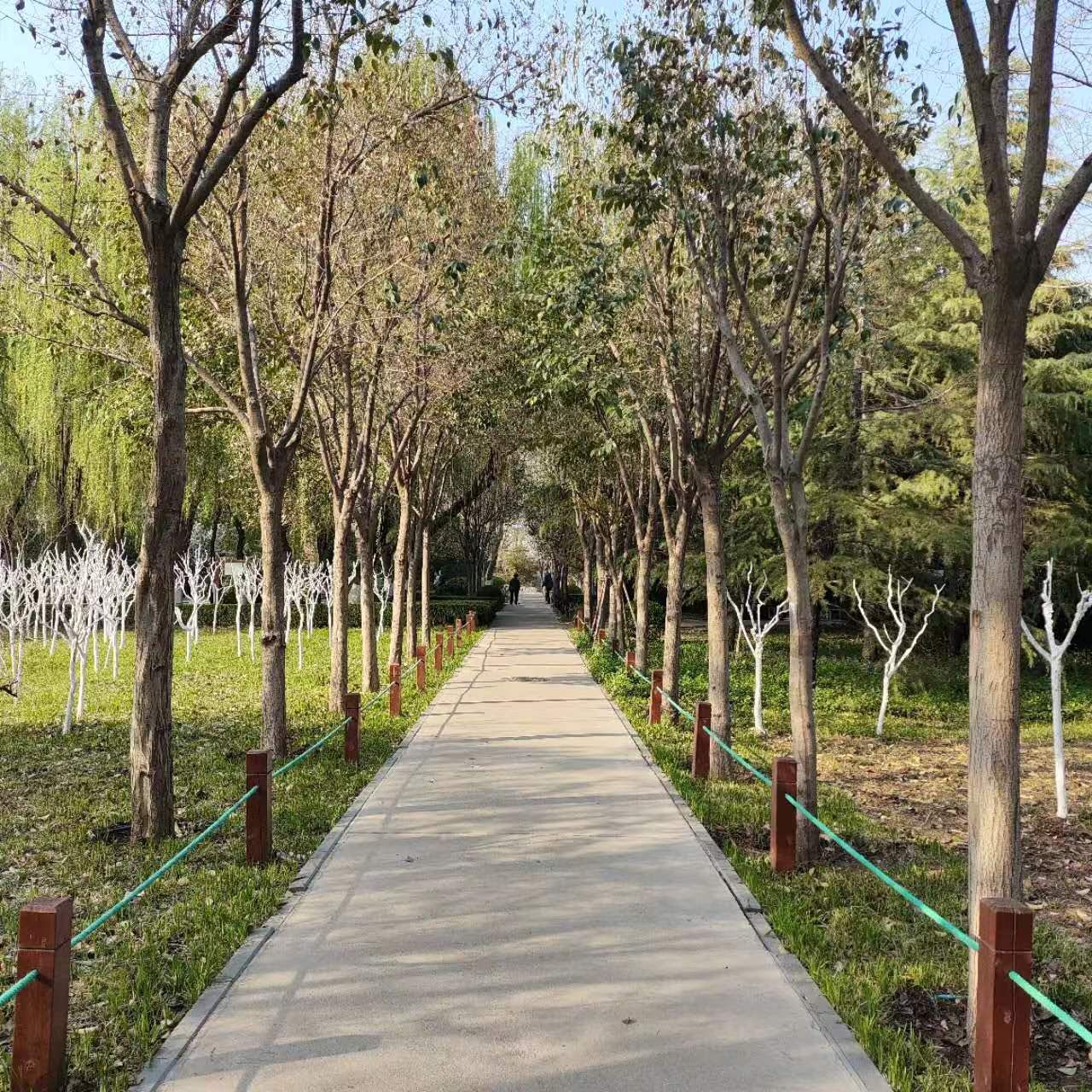 济南花圃公园旅行图片 3