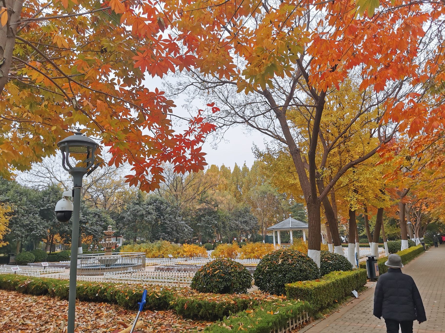 济南花圃公园