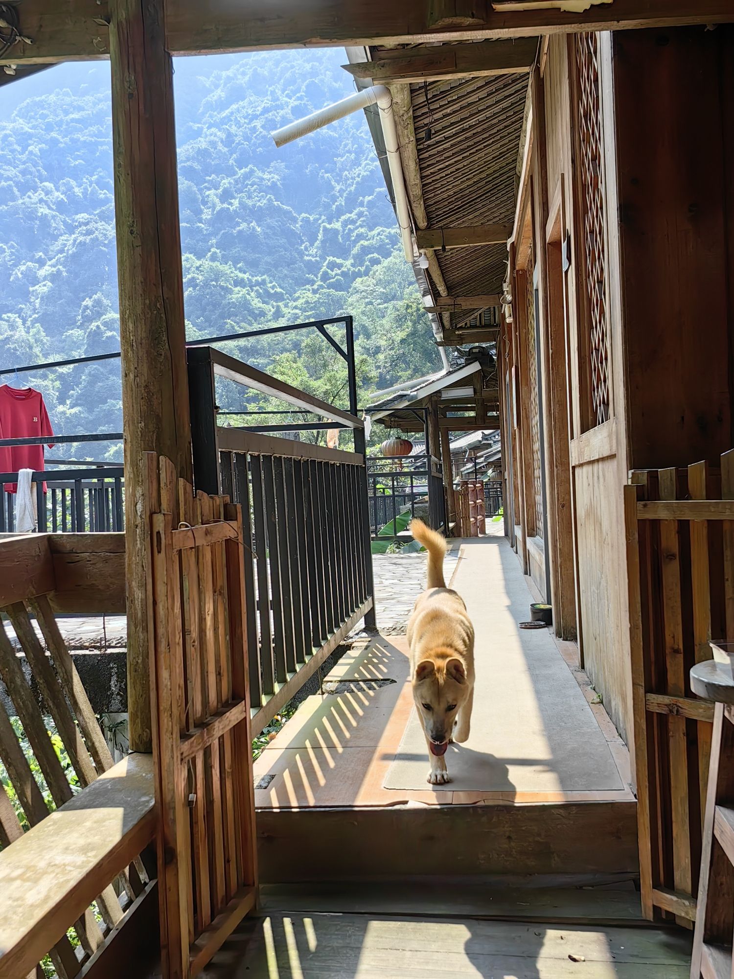 大唐湾景区旅行图片 2