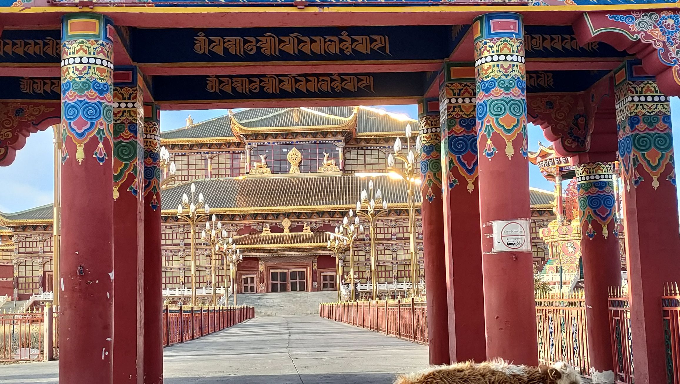 亚青寺景点图片