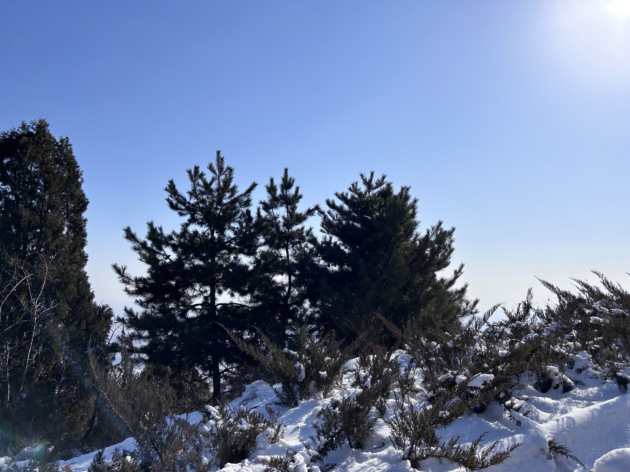 王母山旅行图片 1