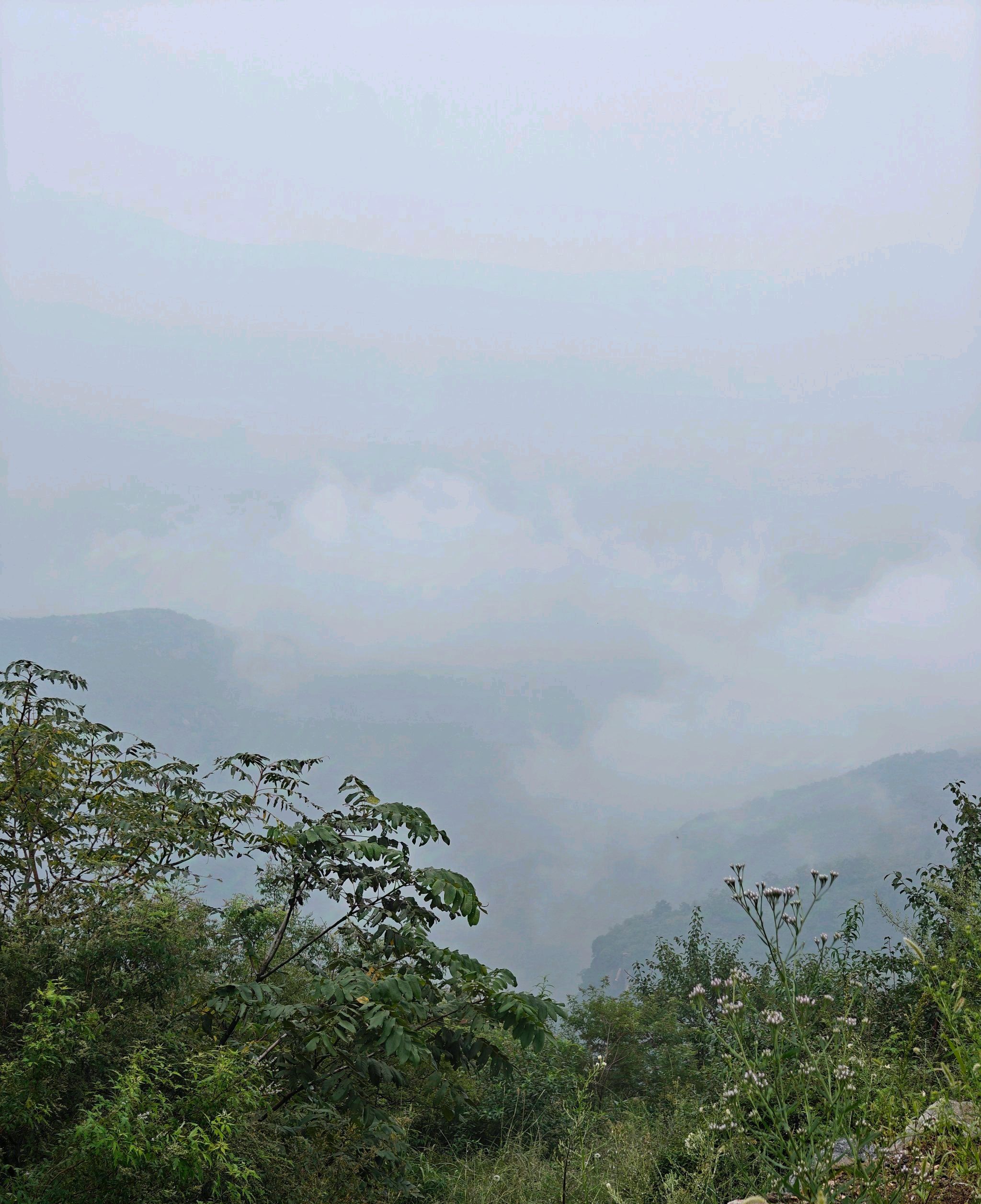 王母山旅行图片 1