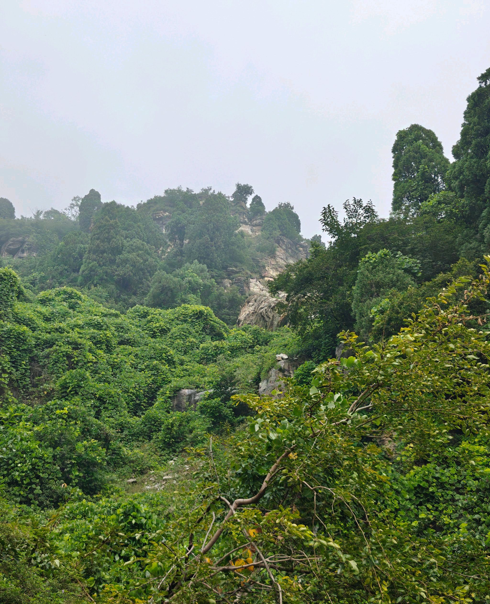 王母山旅行图片 2