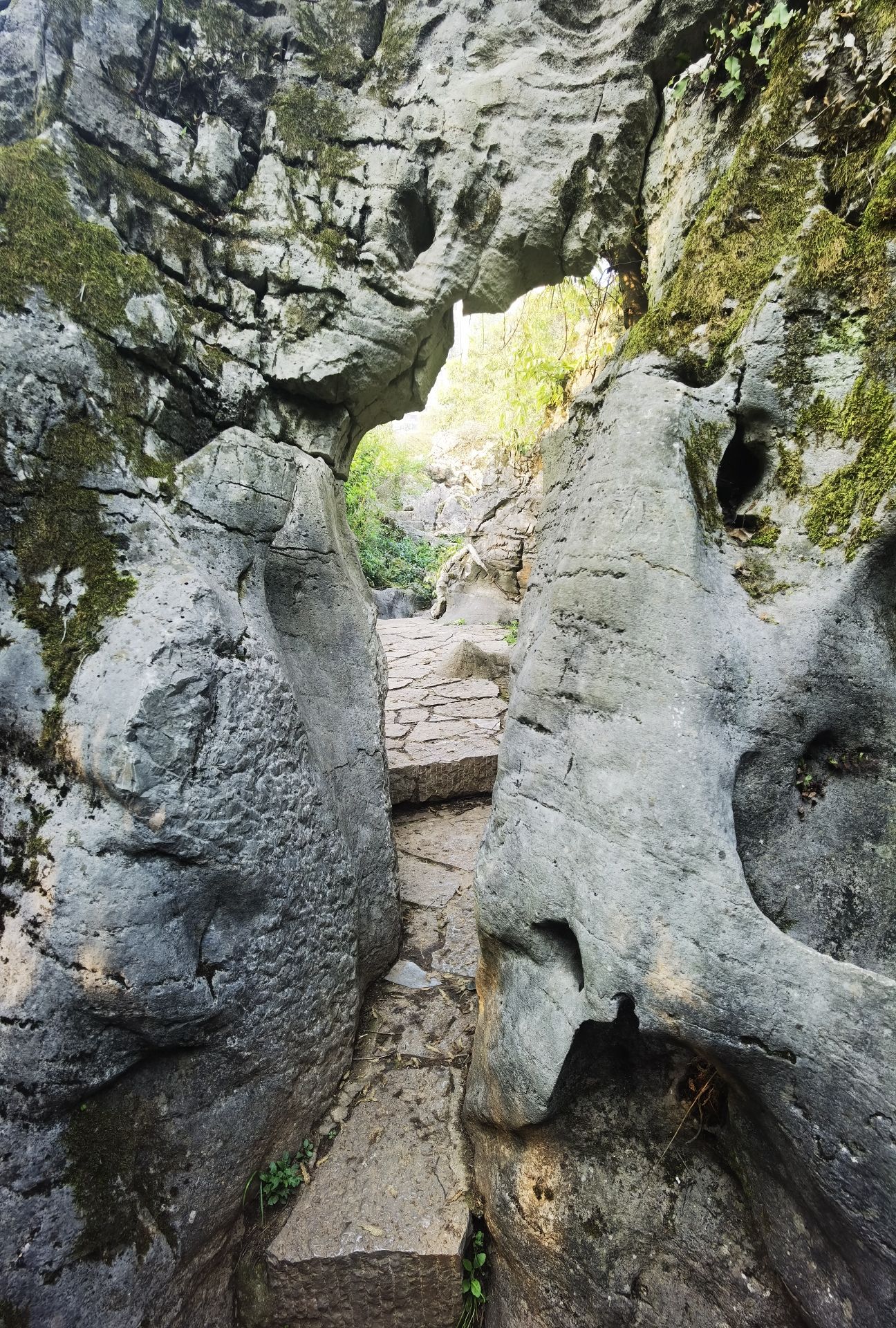 贵阳喀斯特公园旅行图片 1