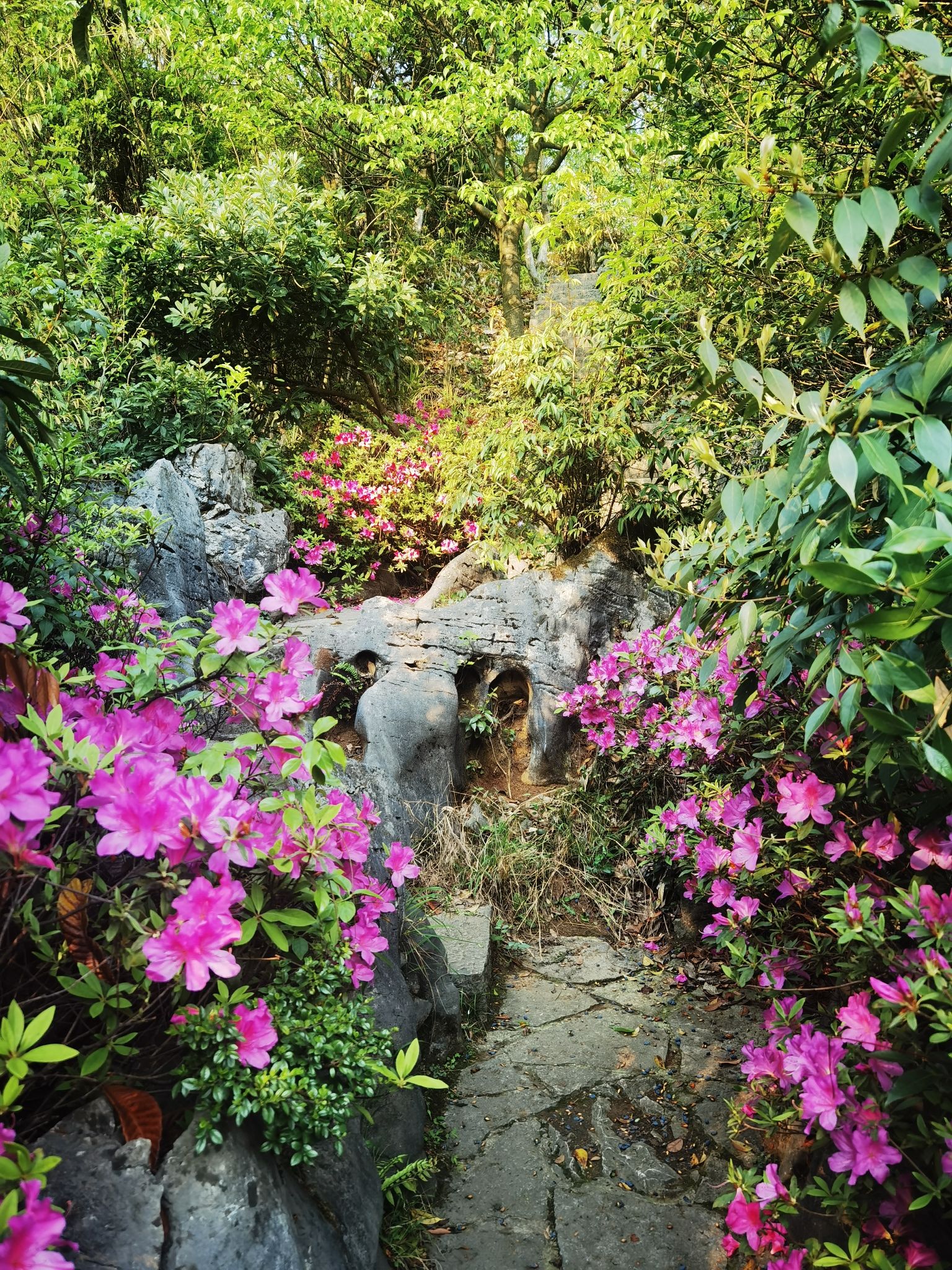 贵阳喀斯特公园旅行图片 2