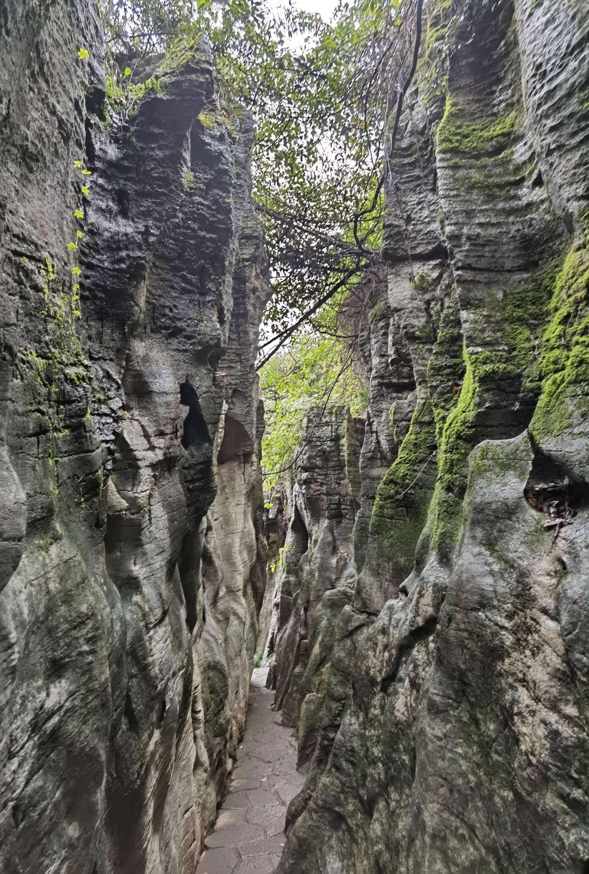 贵阳喀斯特公园旅行图片 3