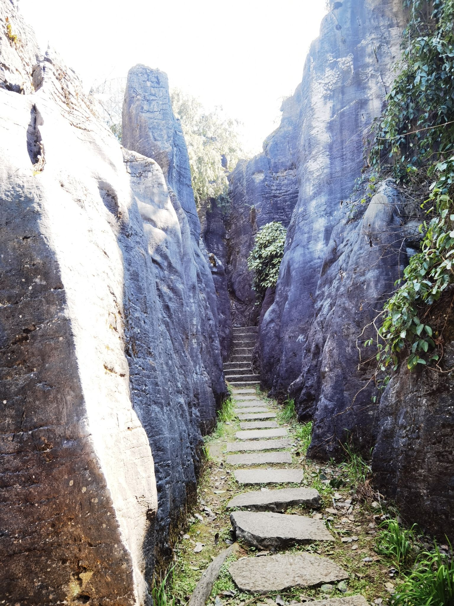 贵阳喀斯特公园旅行图片 2