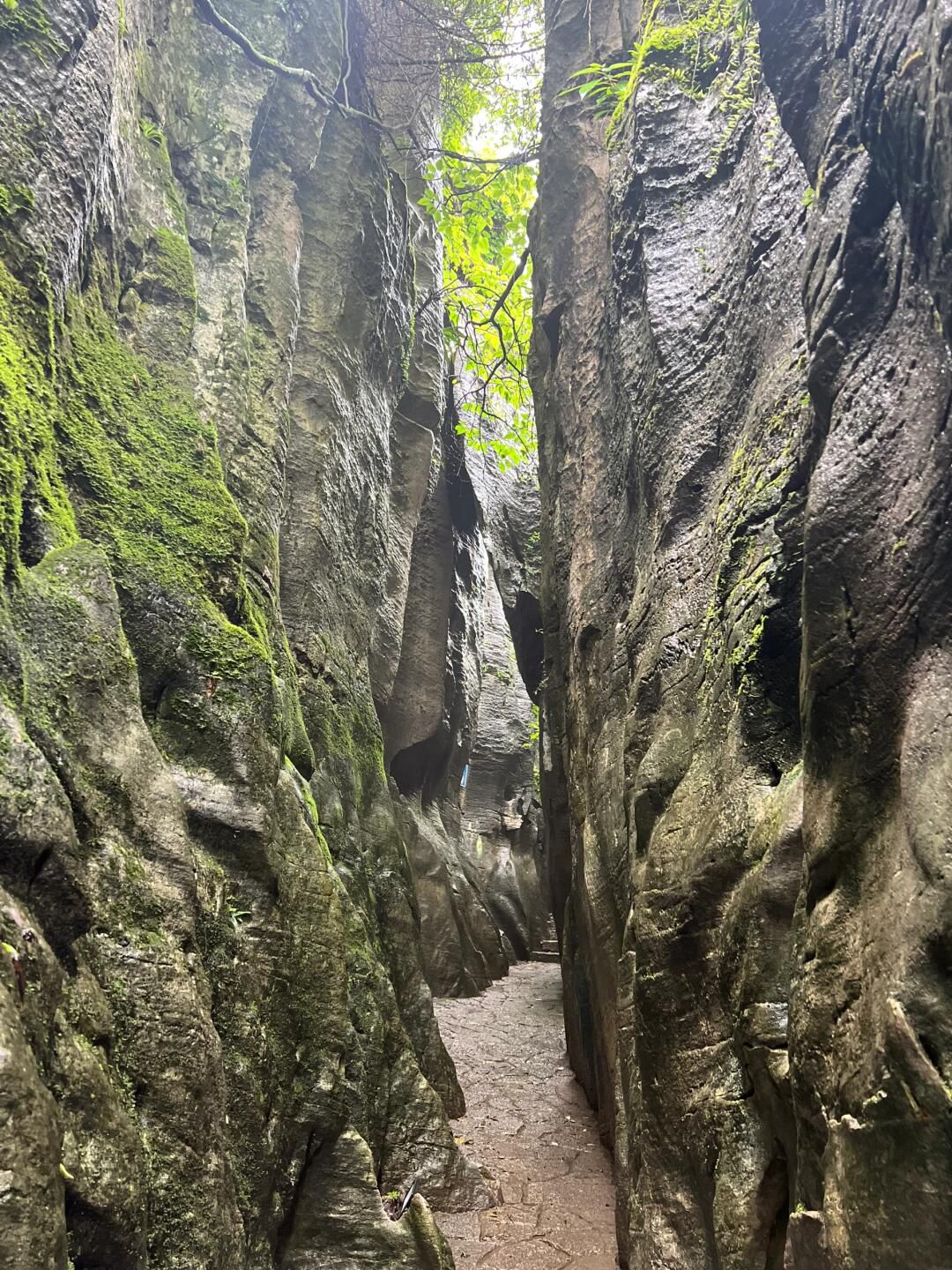 贵阳喀斯特公园旅行图片 1