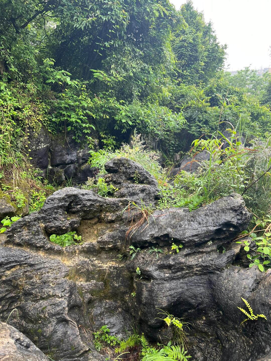 贵阳喀斯特公园旅行图片 2