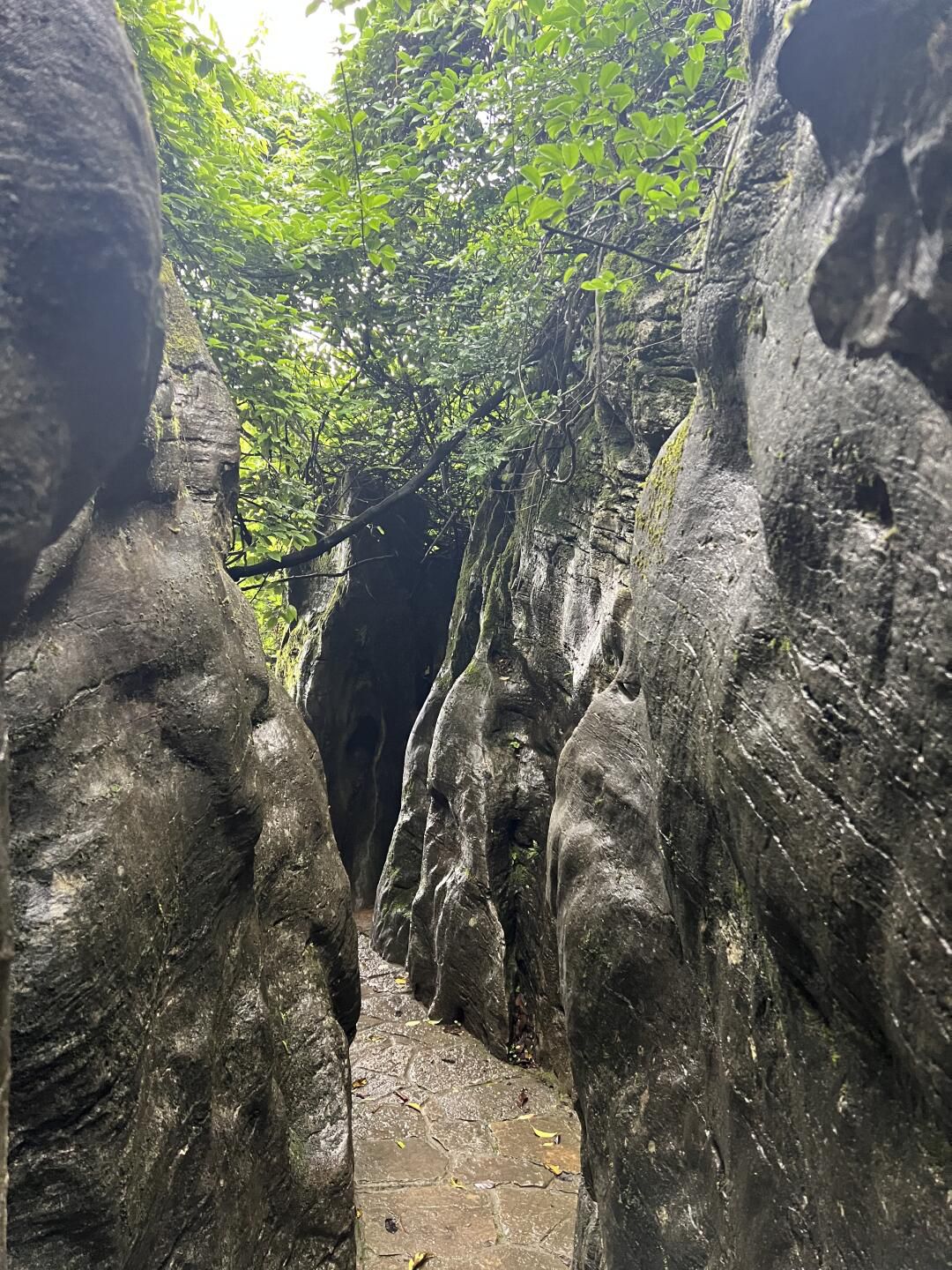 贵阳喀斯特公园旅行图片 3
