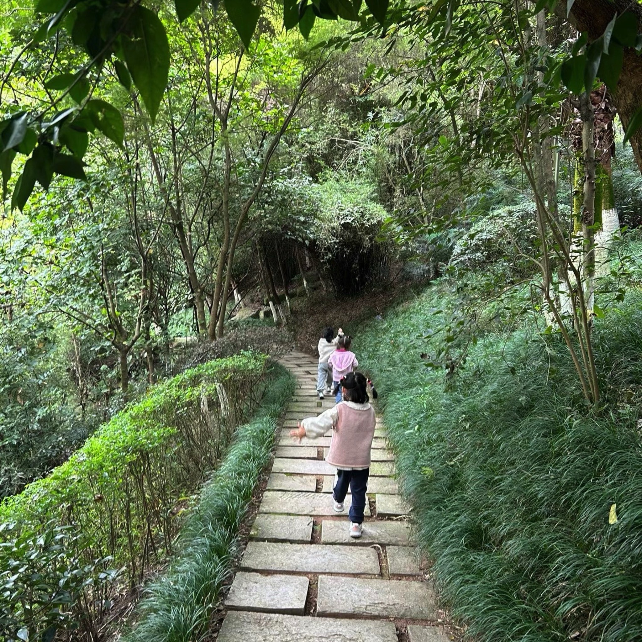 江阳公园旅行图片 3