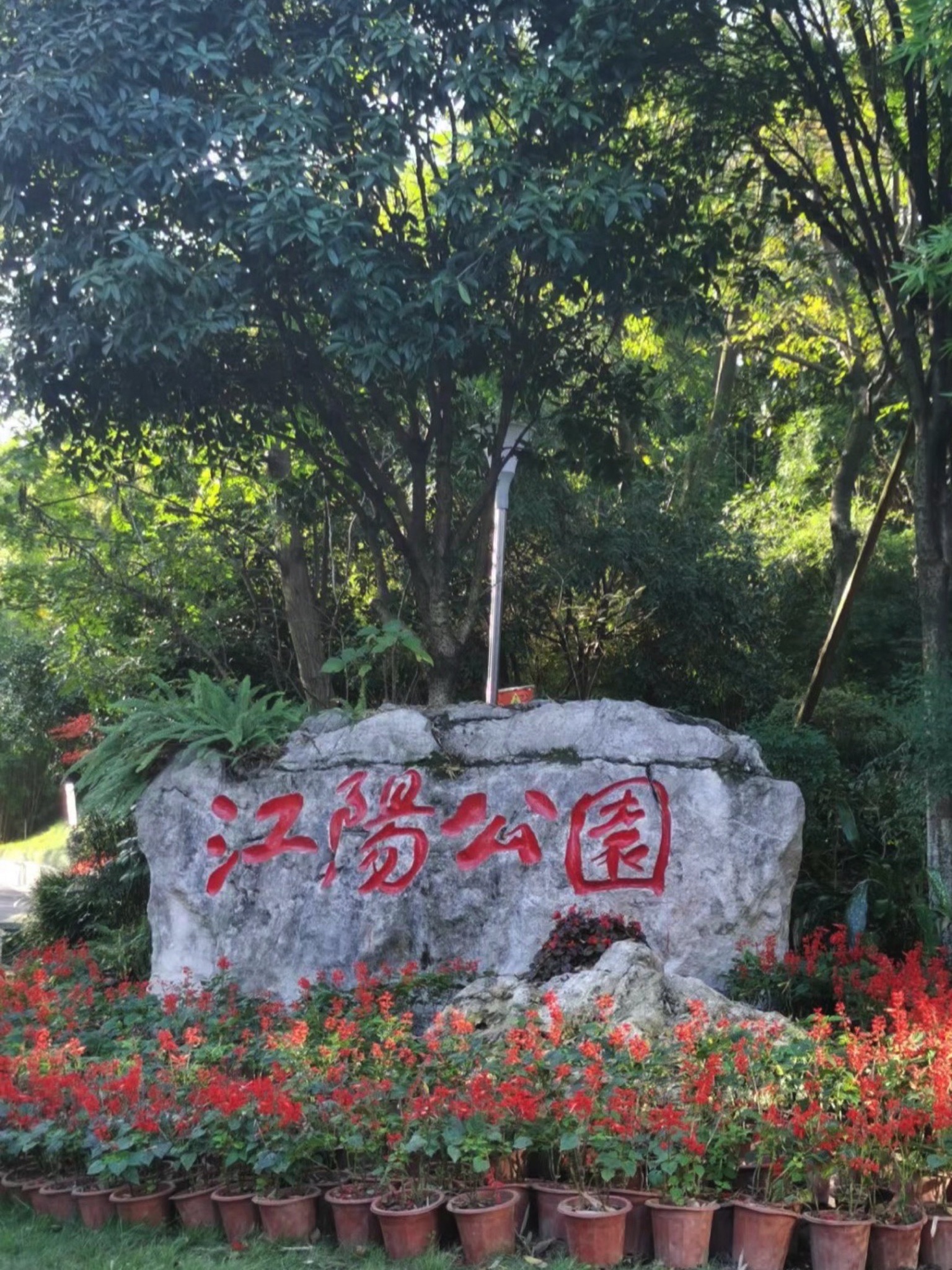 江阳公园旅行图片 1