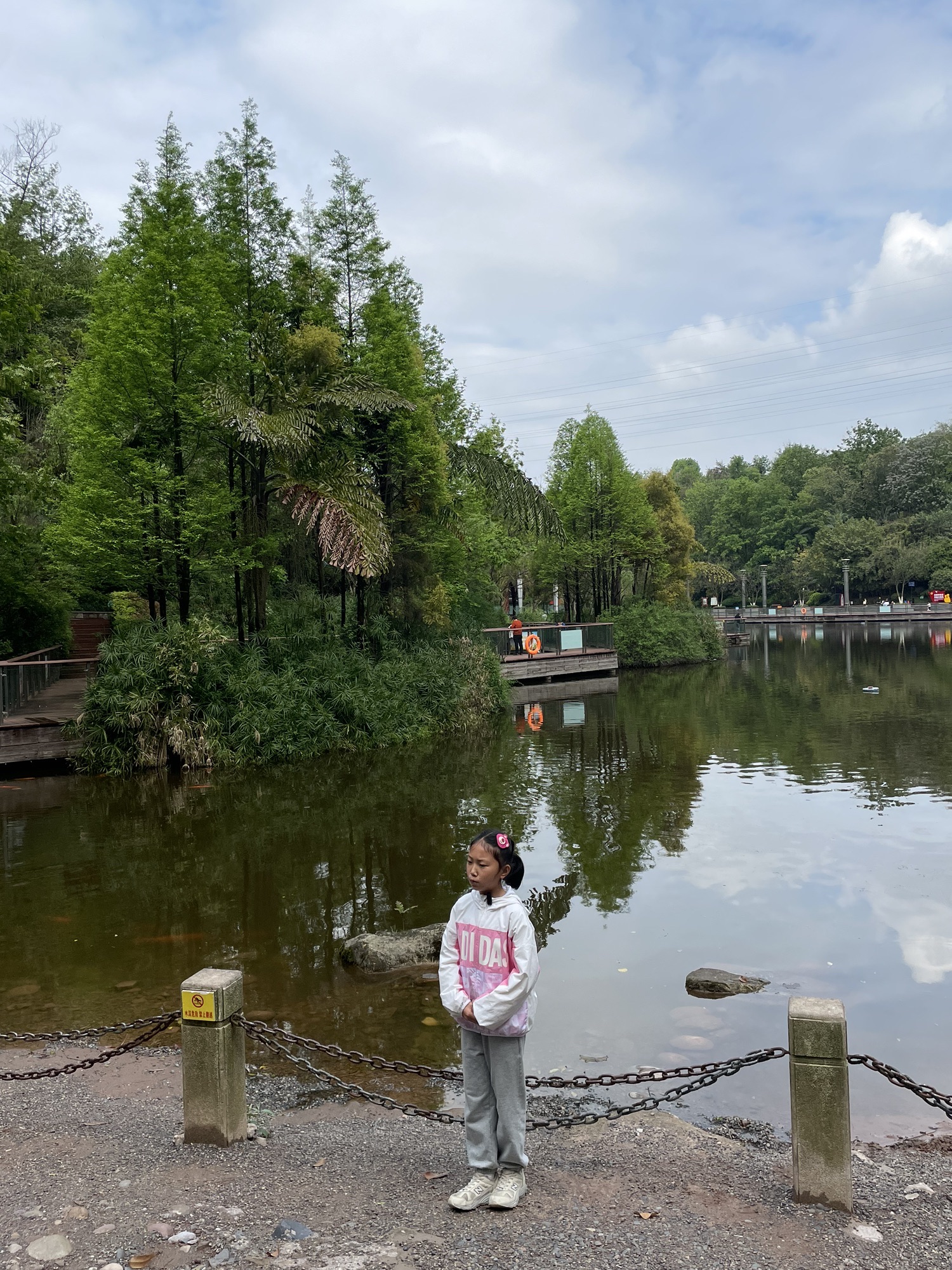 江阳公园旅行图片 3