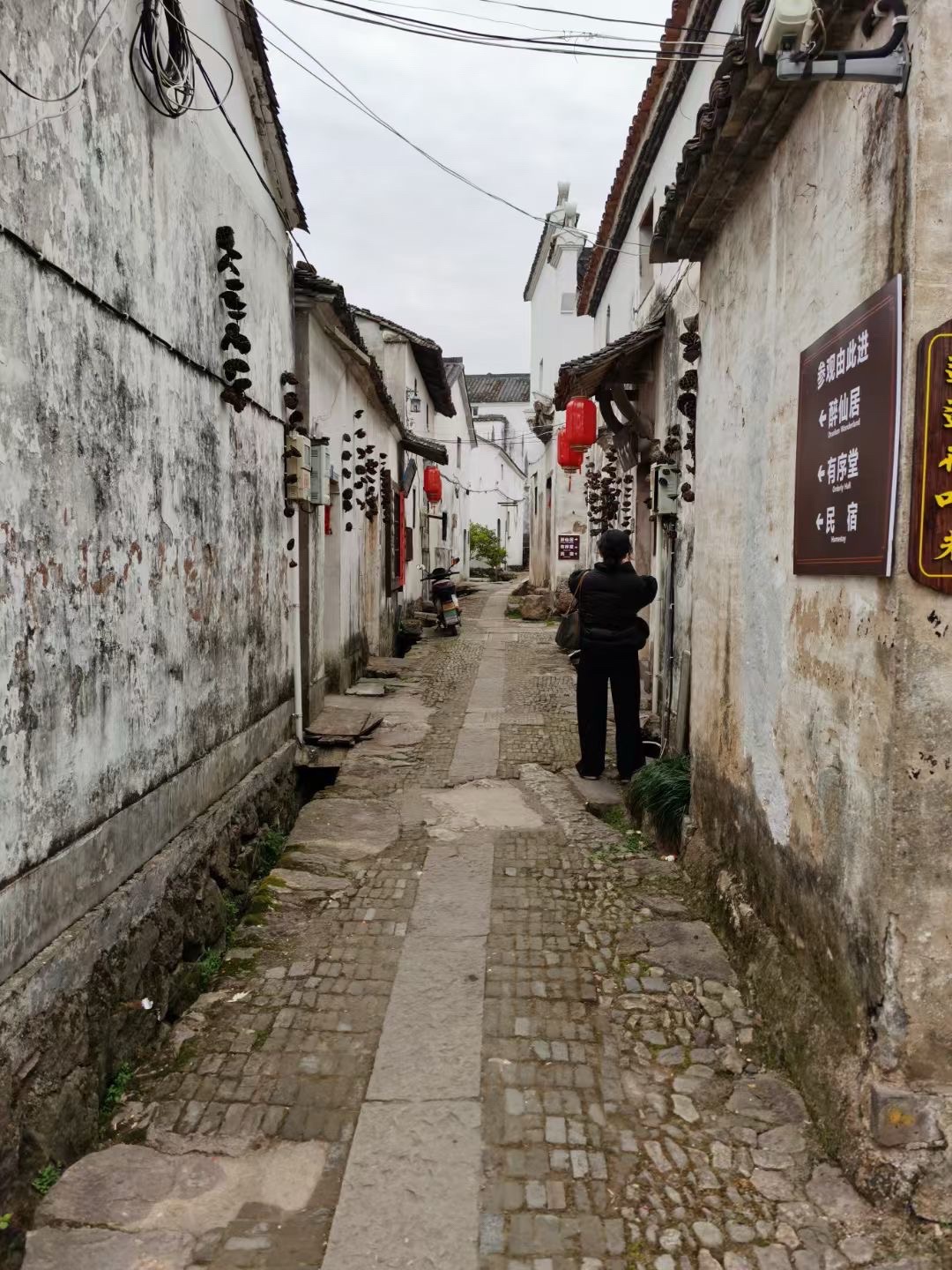 新叶古村旅行图片 2
